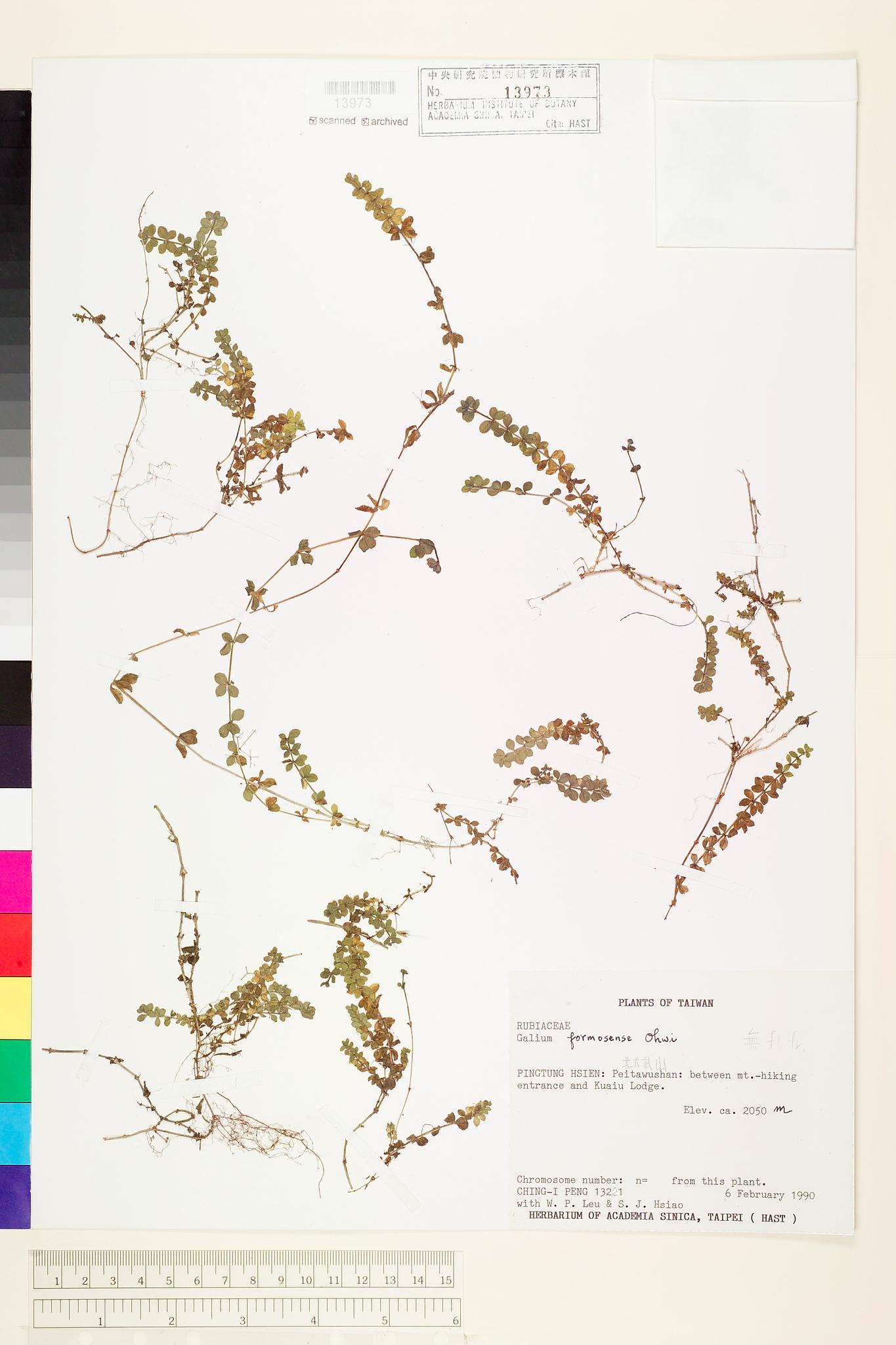 Sample image for viewer