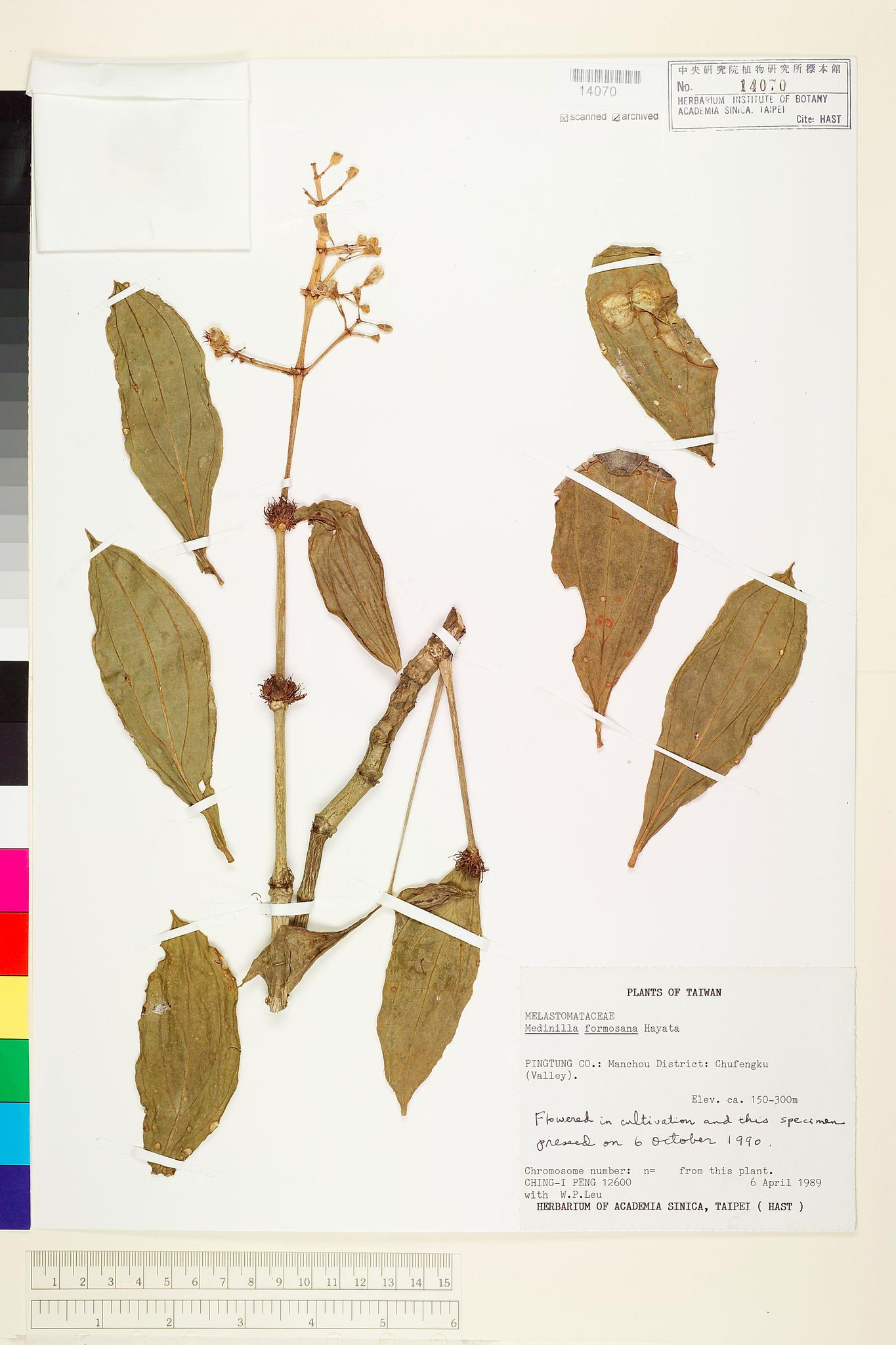 Sample image for viewer