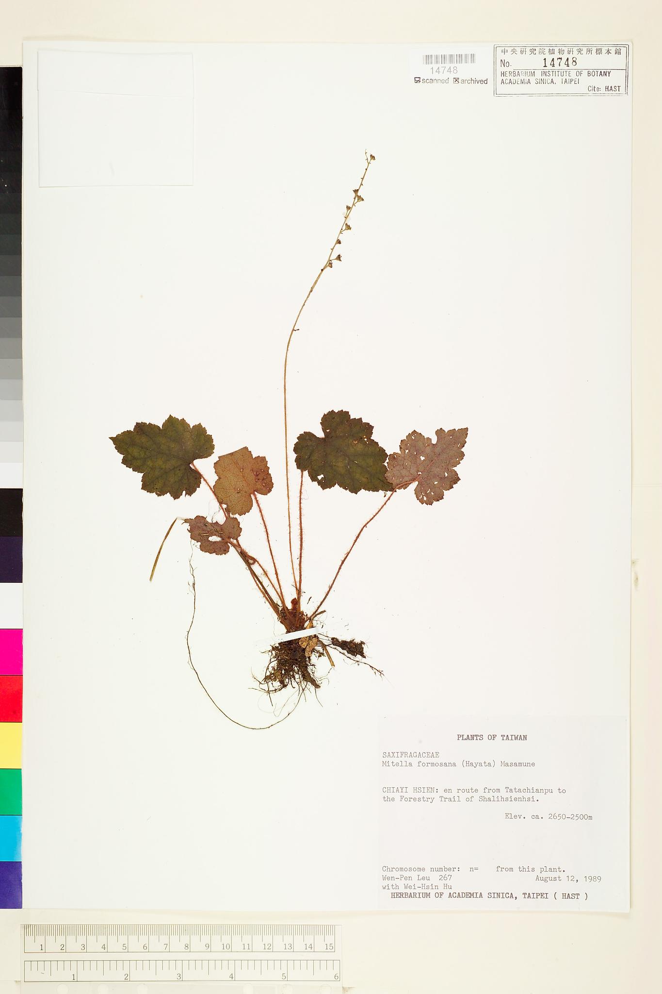 Sample image for viewer