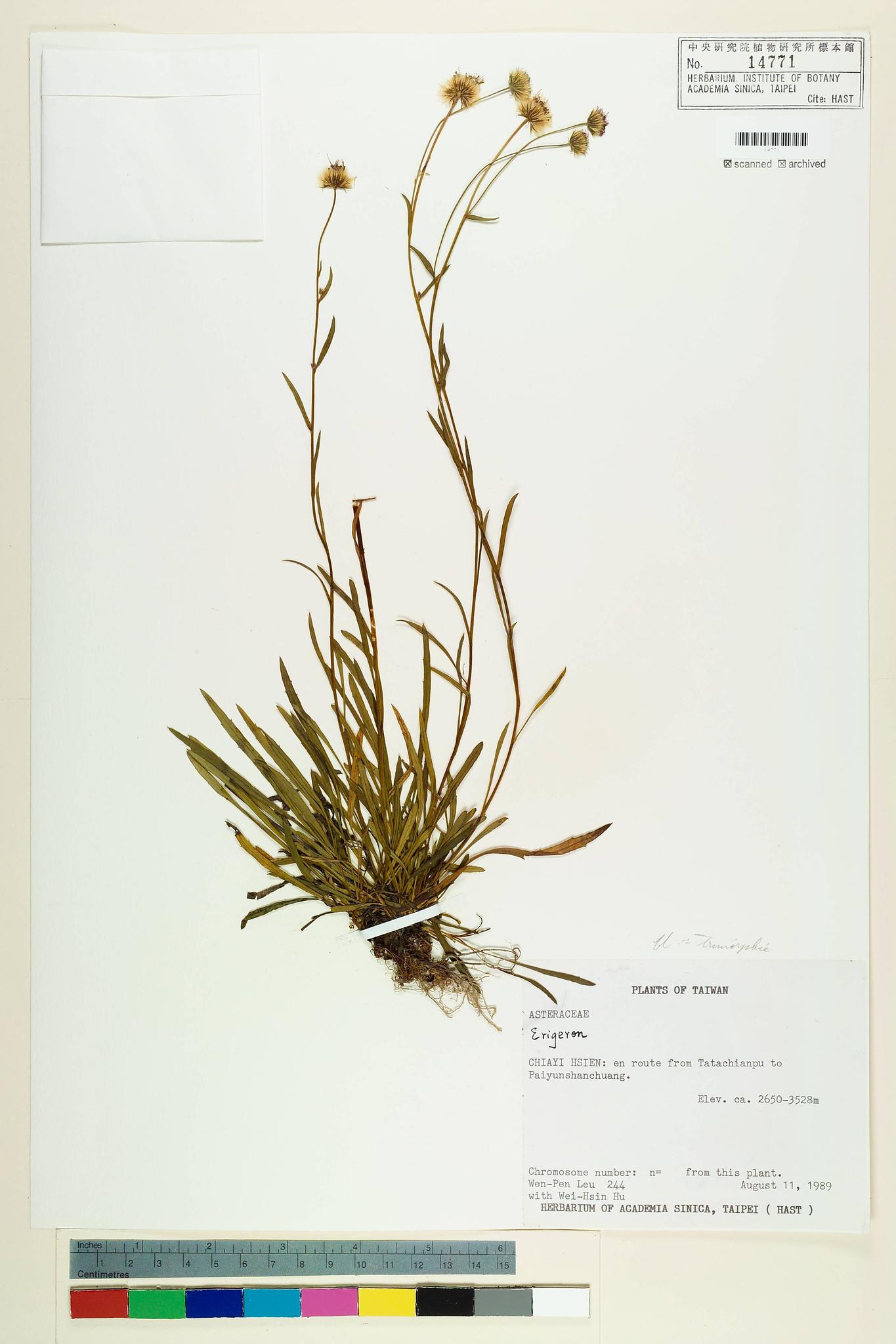 Sample image for viewer