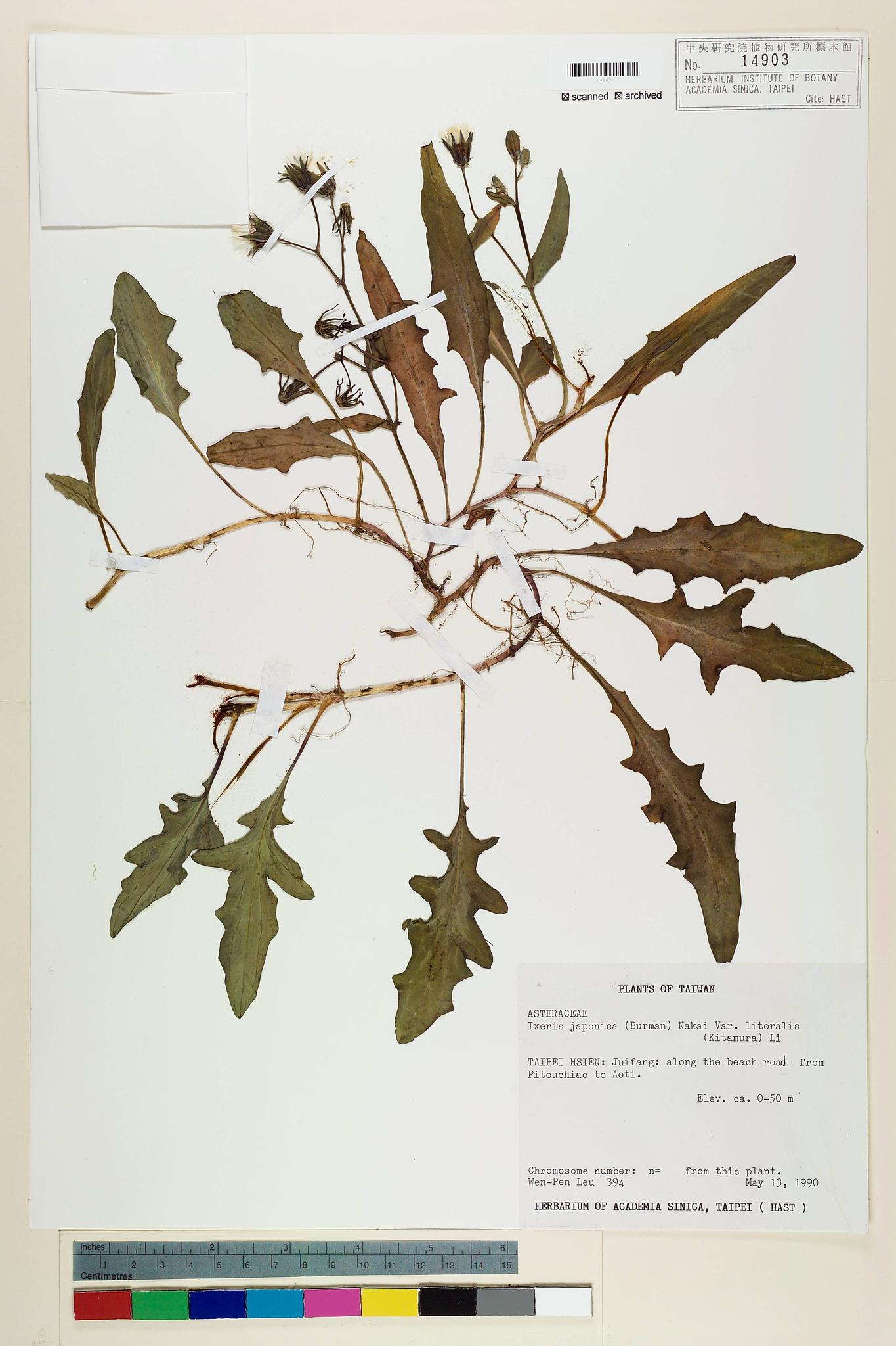 Specimen image