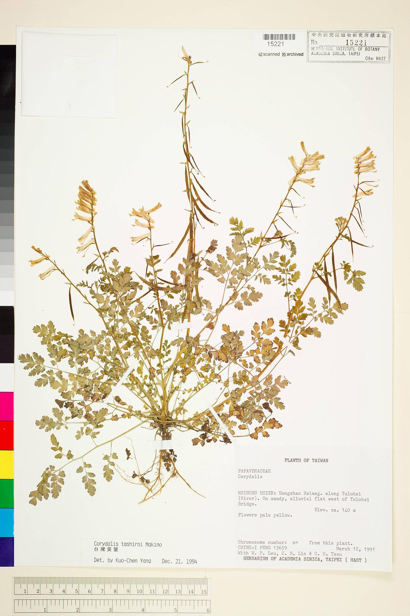 Sample image for viewer