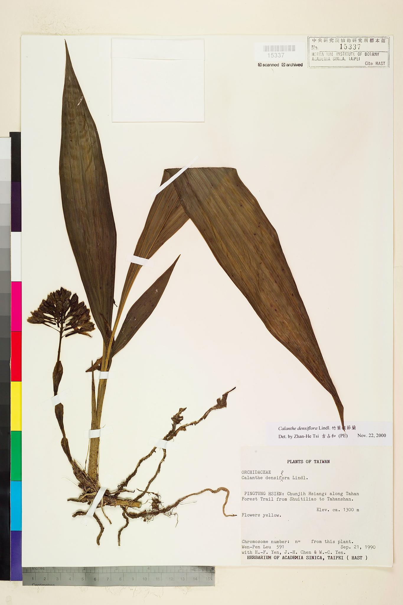 Sample image for viewer