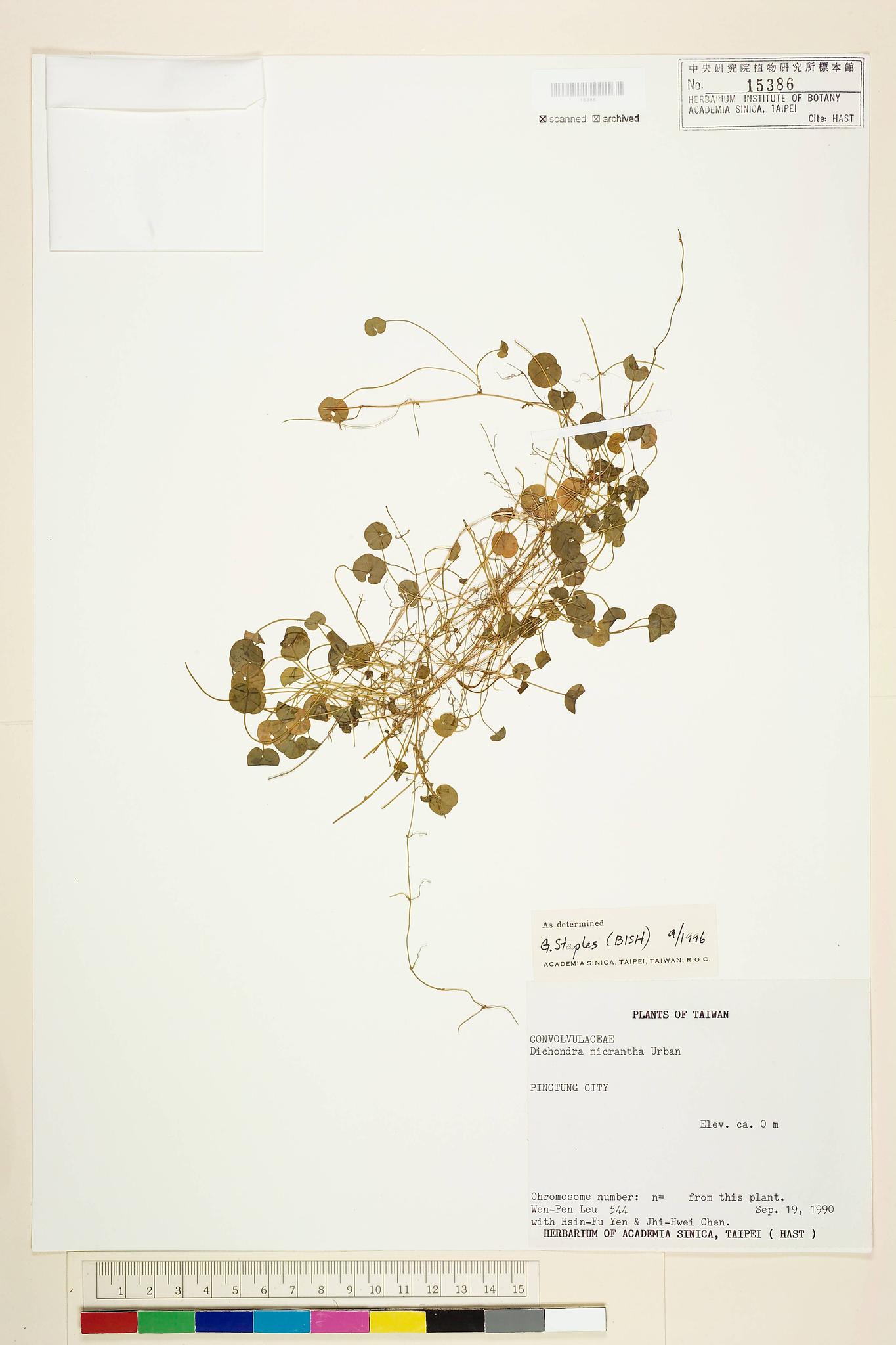 Sample image for viewer