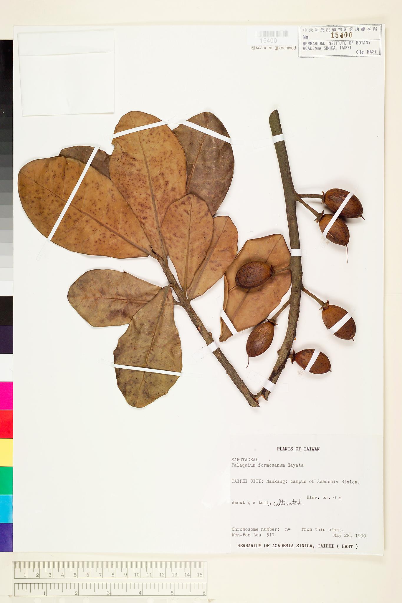 Sample image for viewer