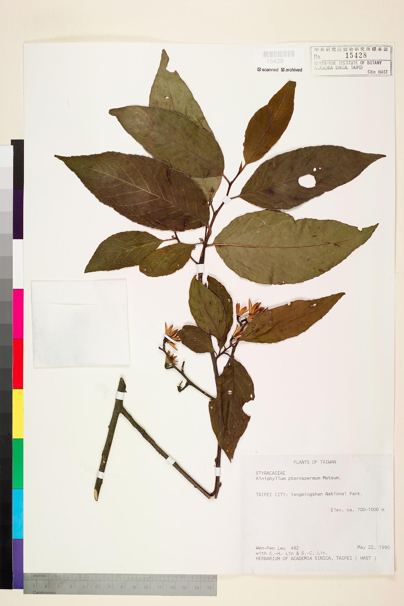 Specimen image