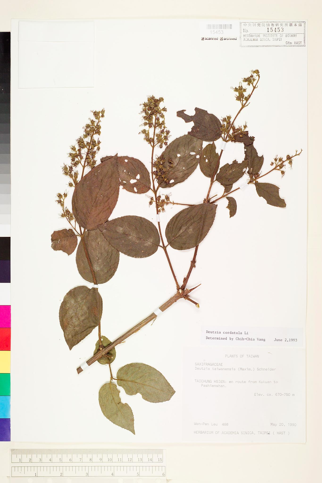 Sample image for viewer