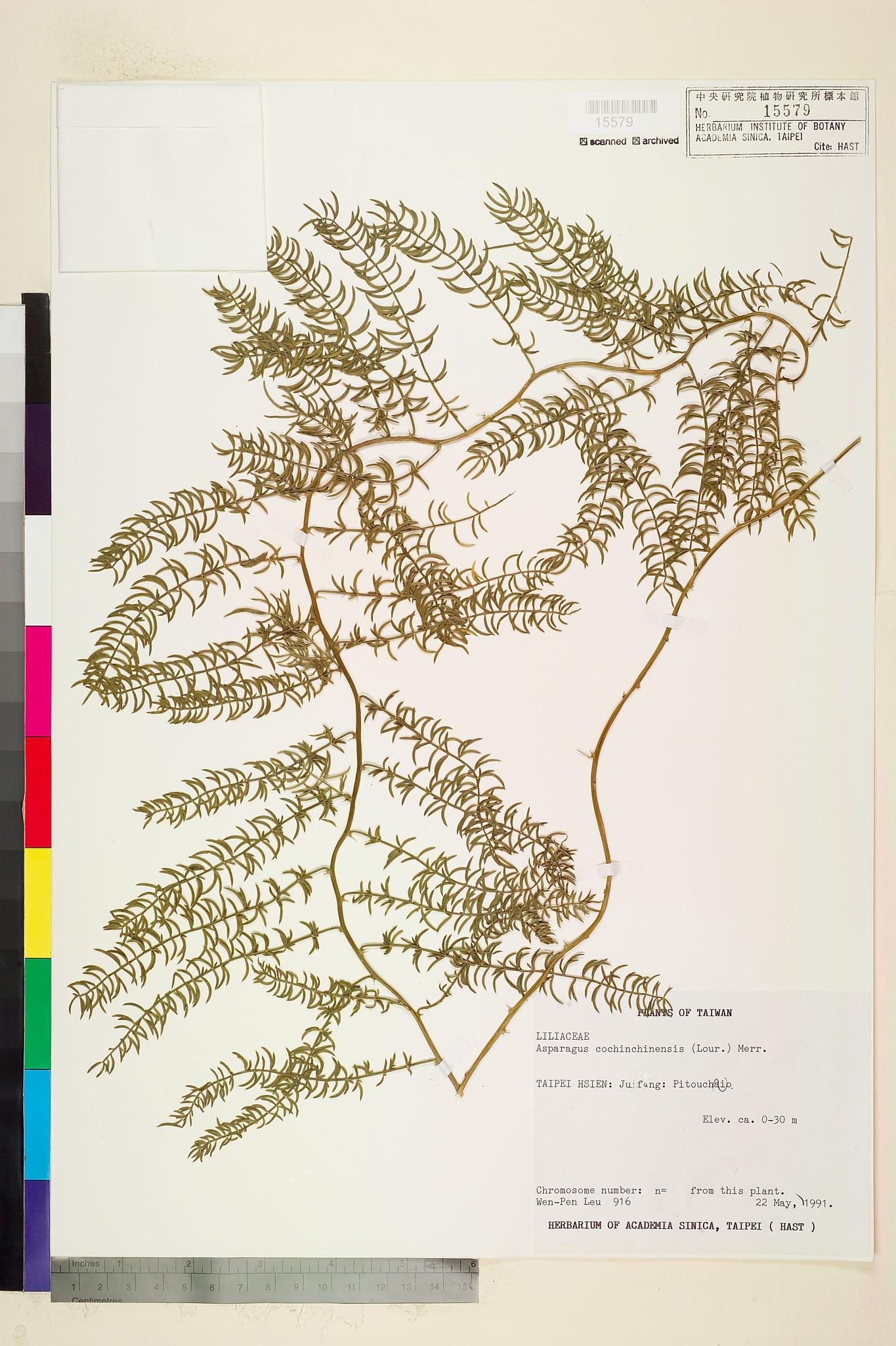 Sample image for viewer