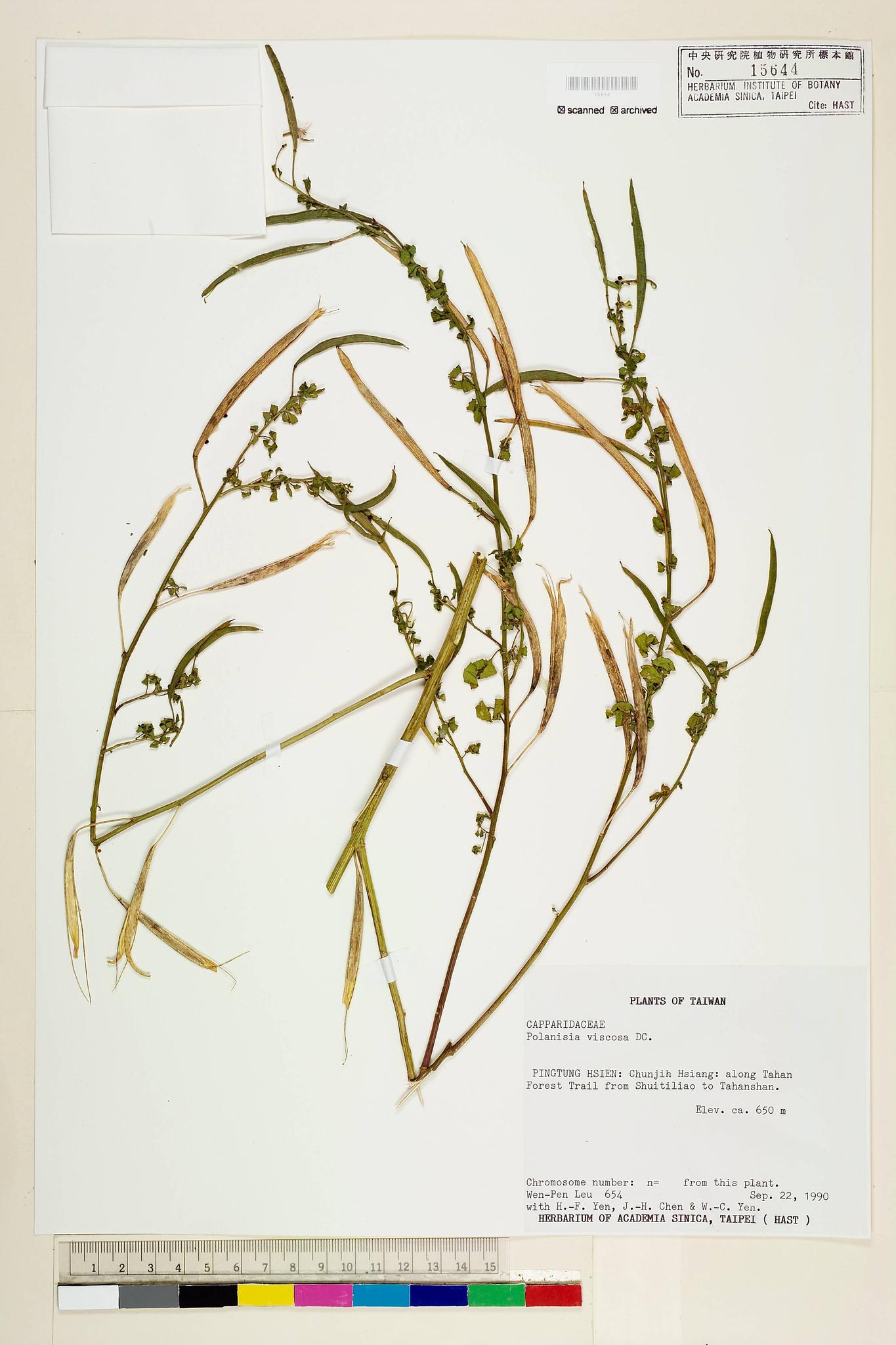 Sample image for viewer