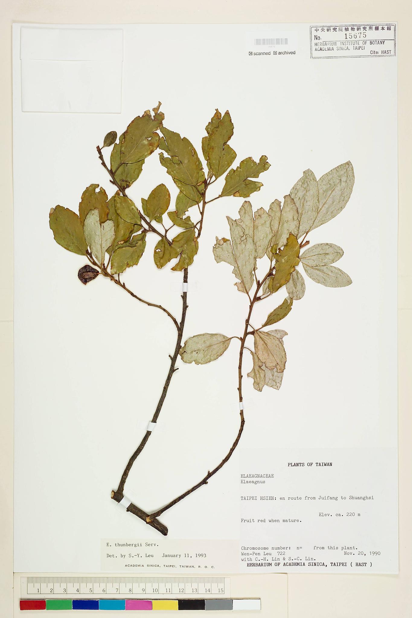 Sample image for viewer