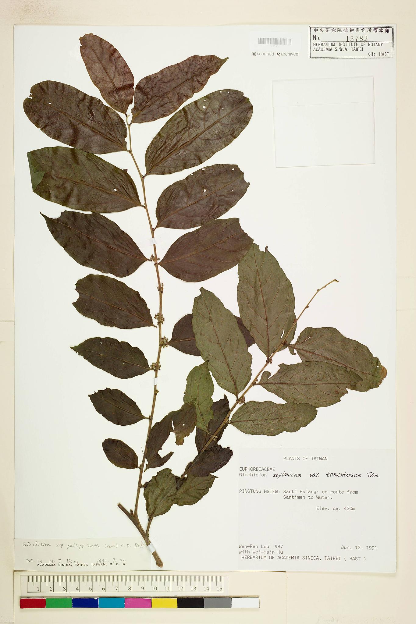 Sample image for viewer