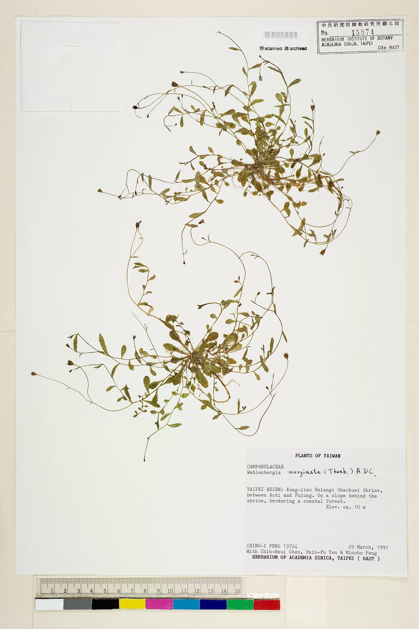 Sample image for viewer