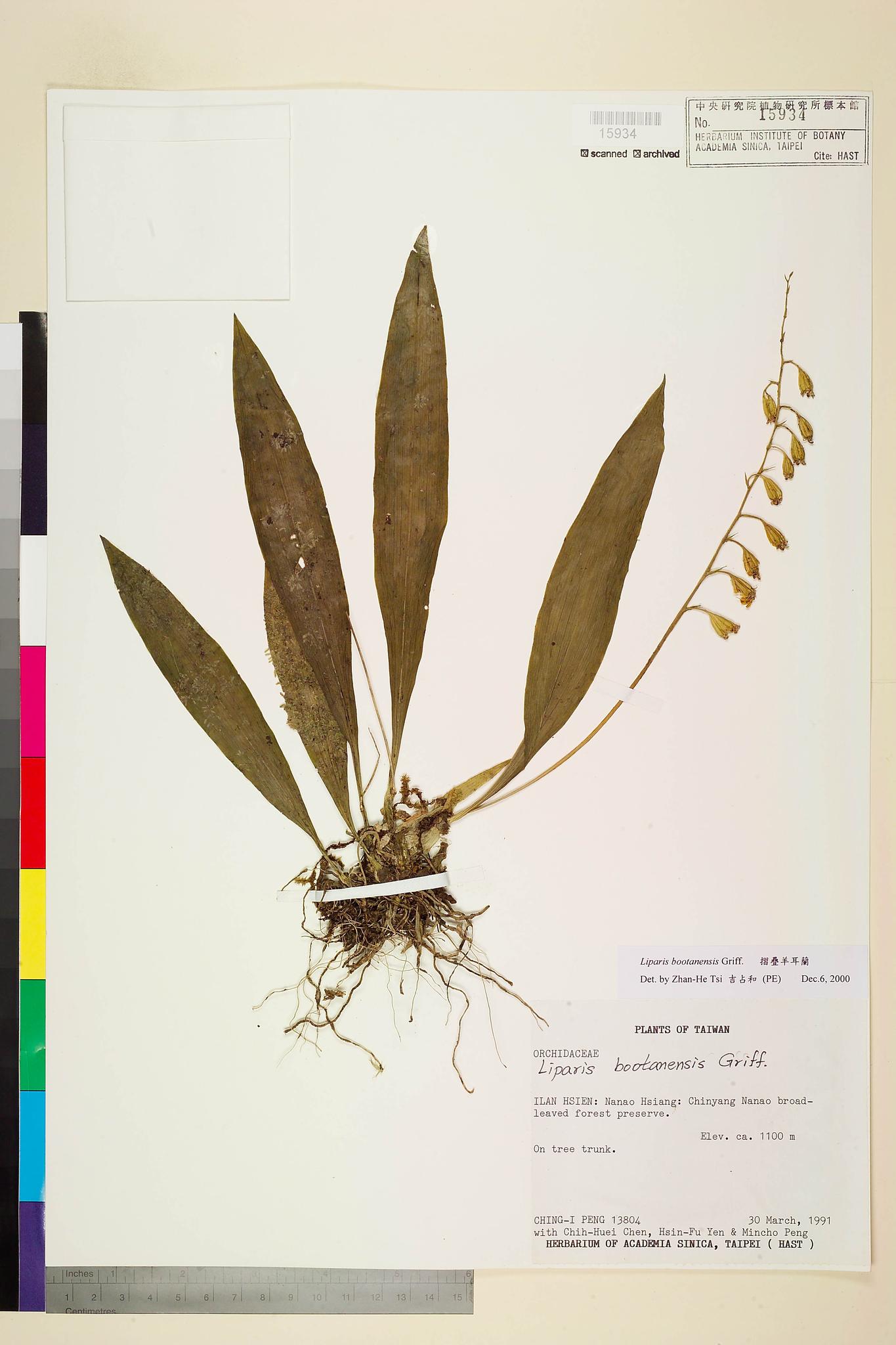 Sample image for viewer