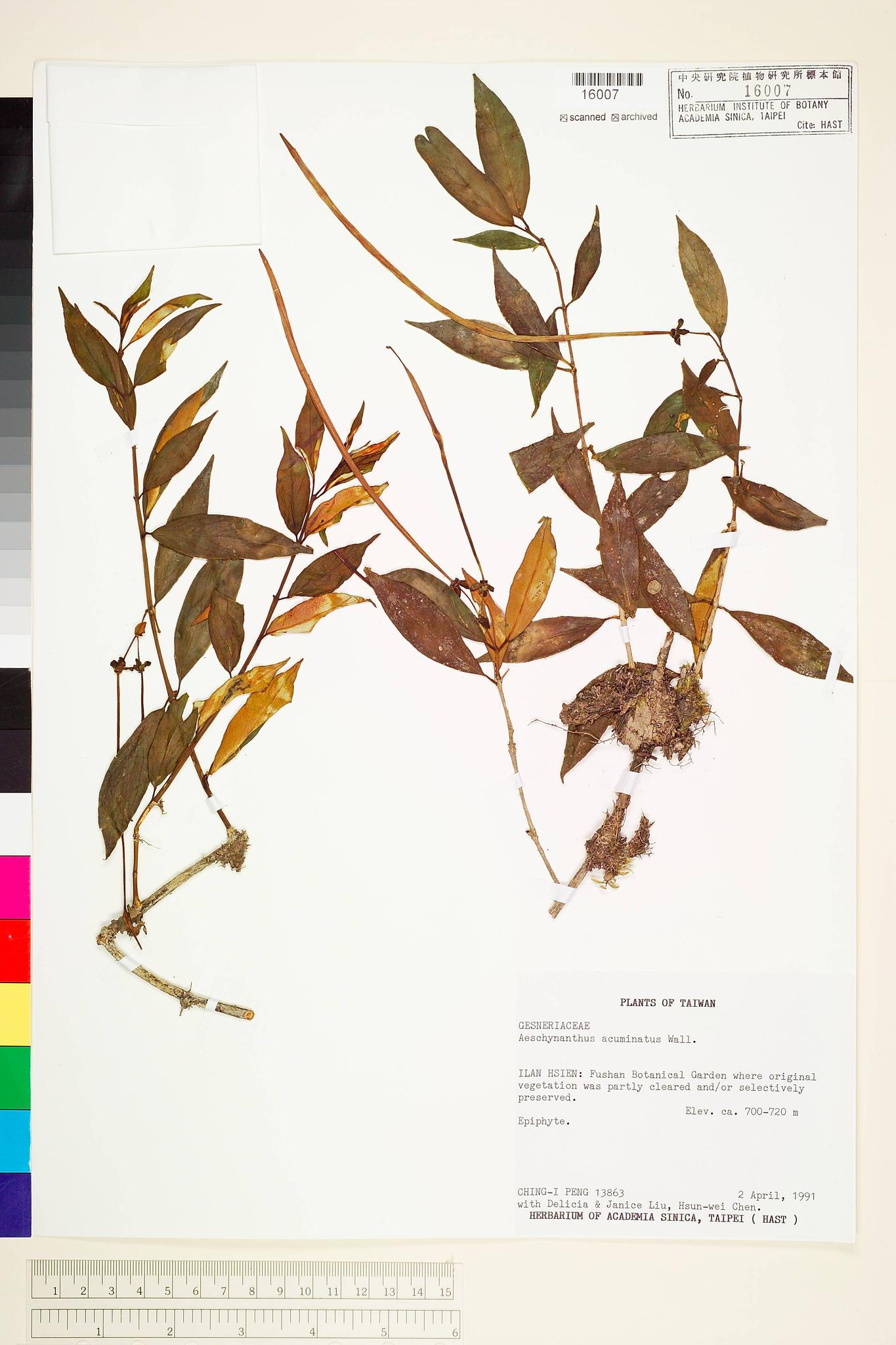 Sample image for viewer