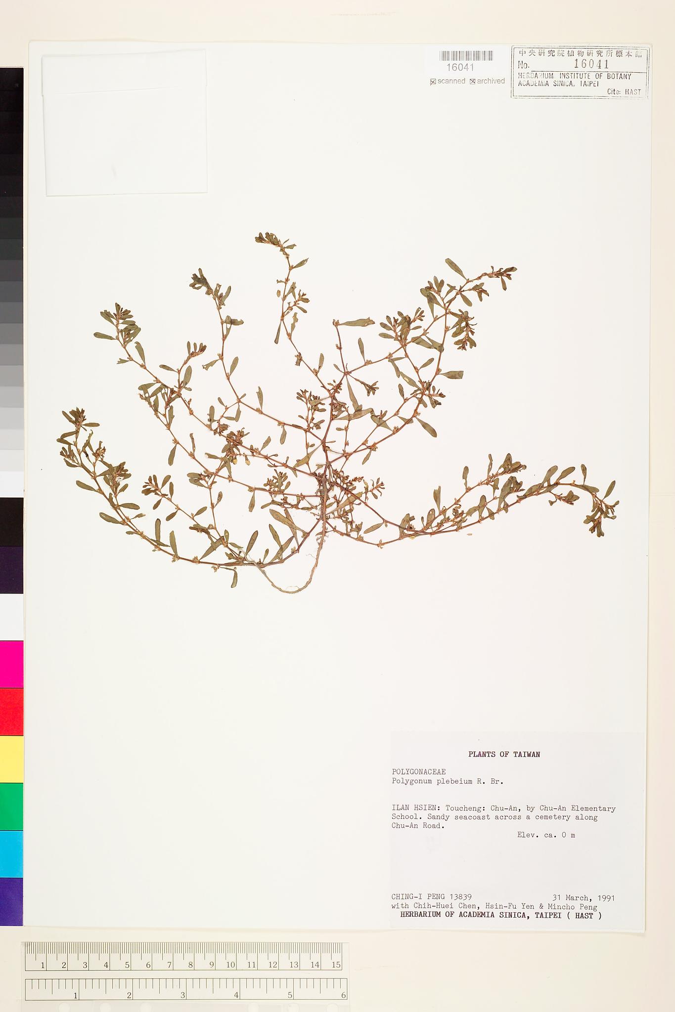 Sample image for viewer