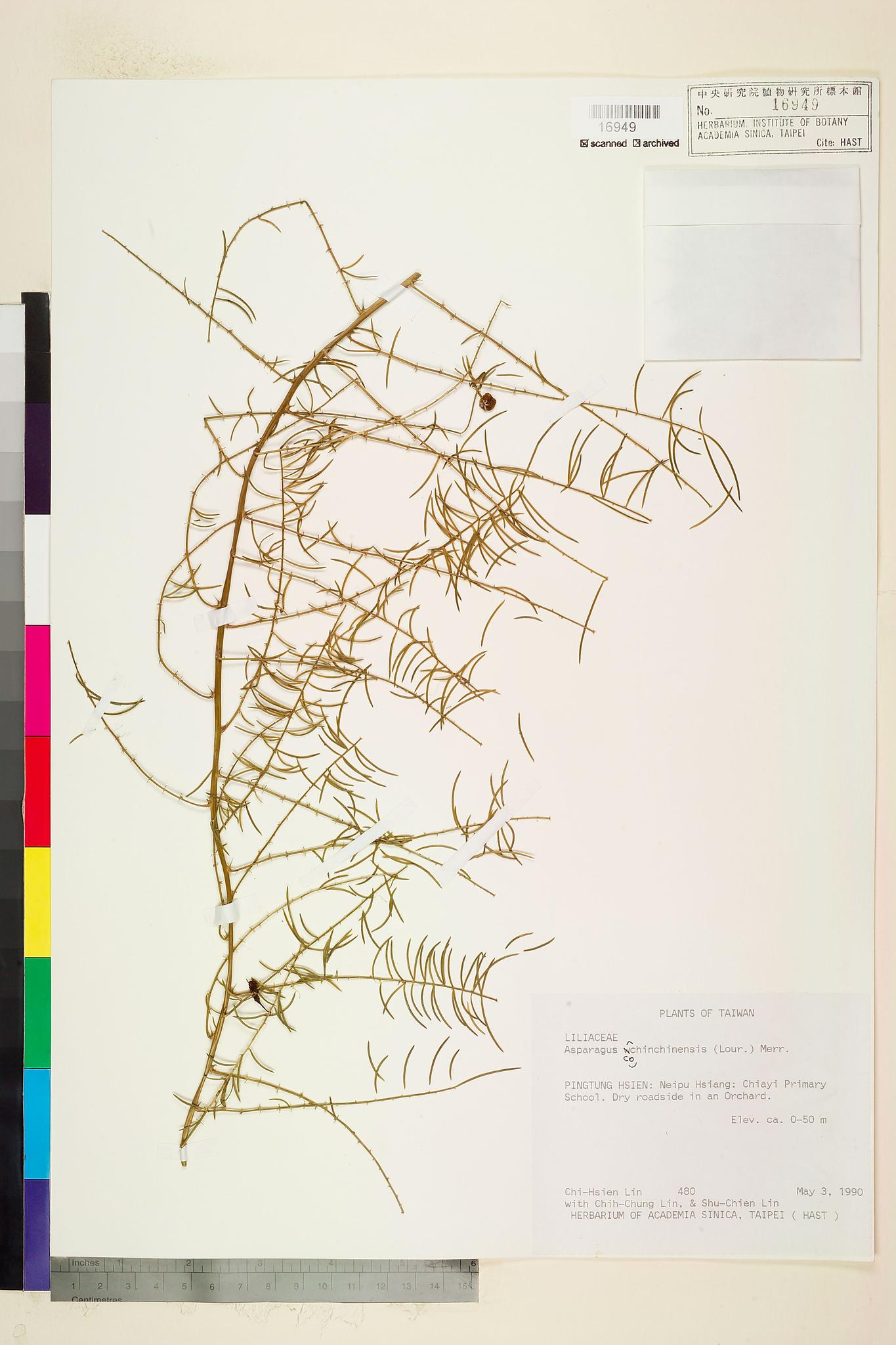 Sample image for viewer