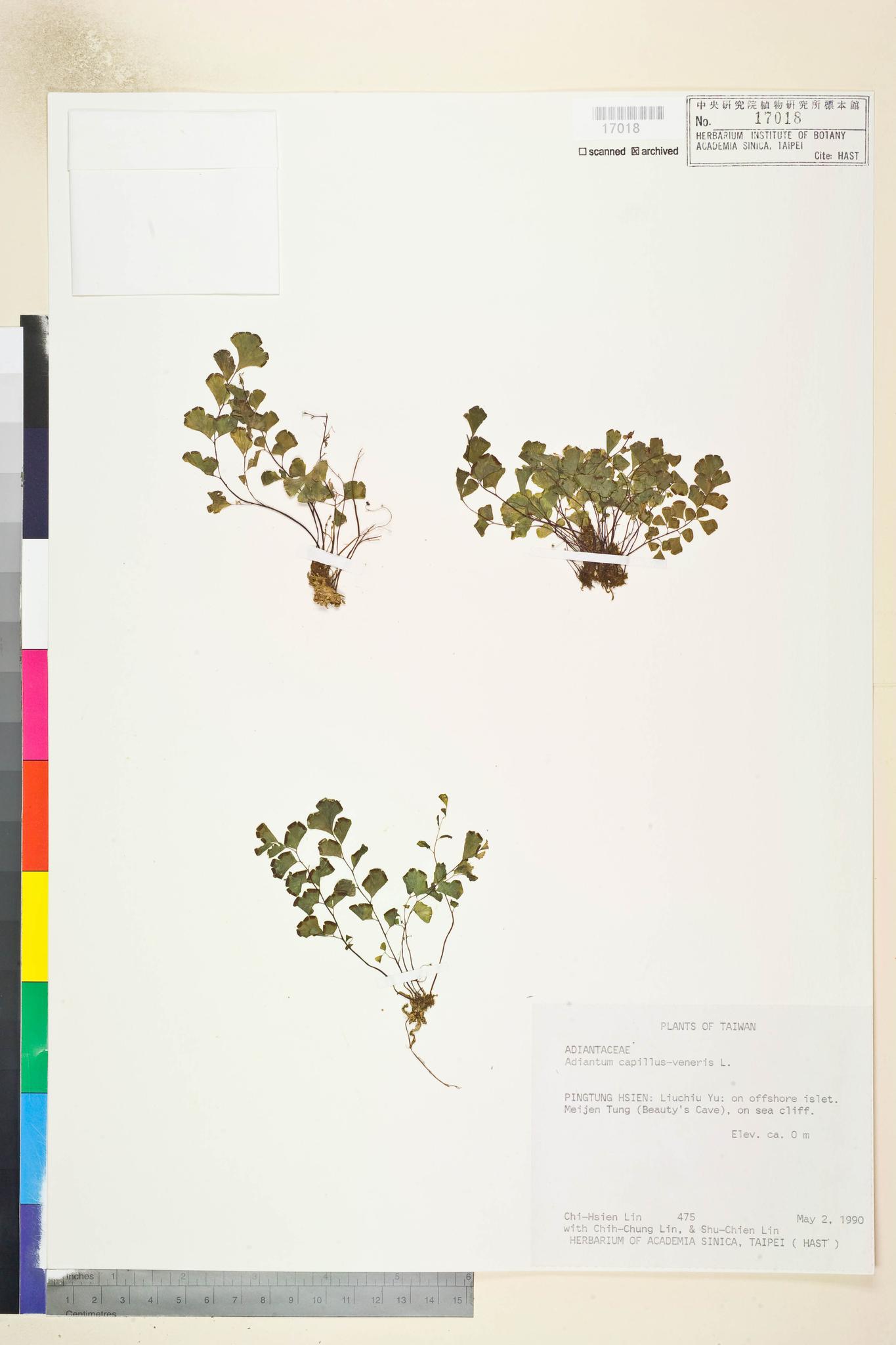 Sample image for viewer