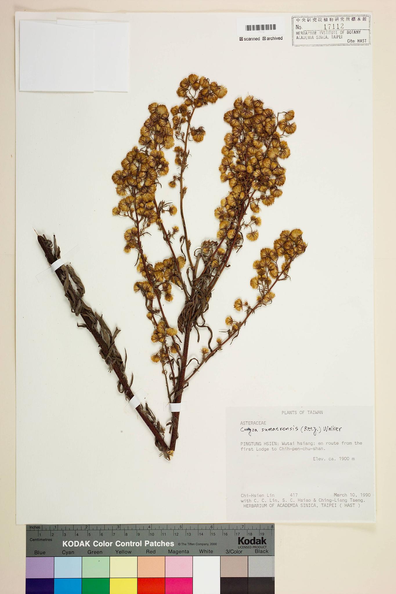 Specimen image