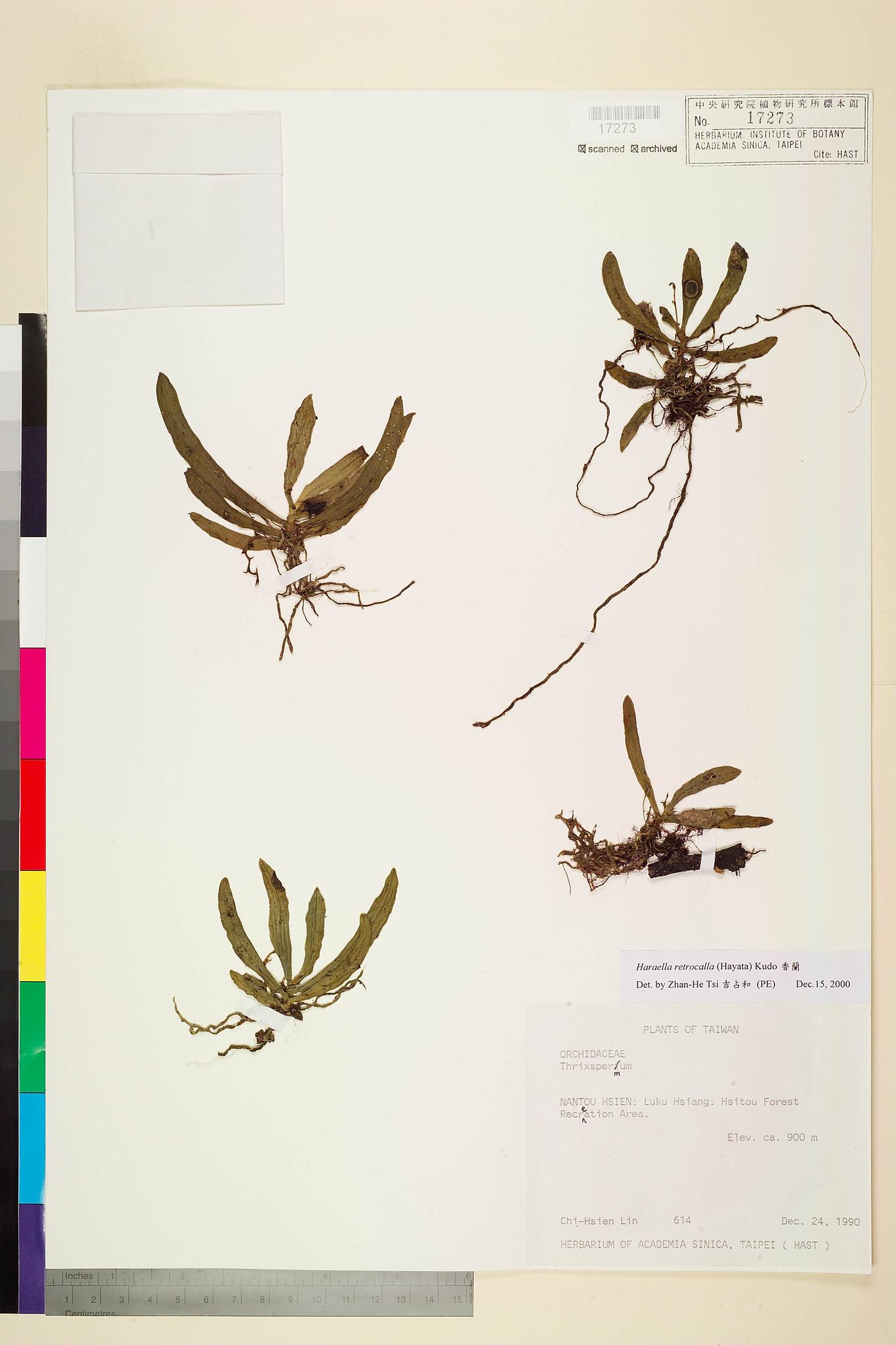 Sample image for viewer