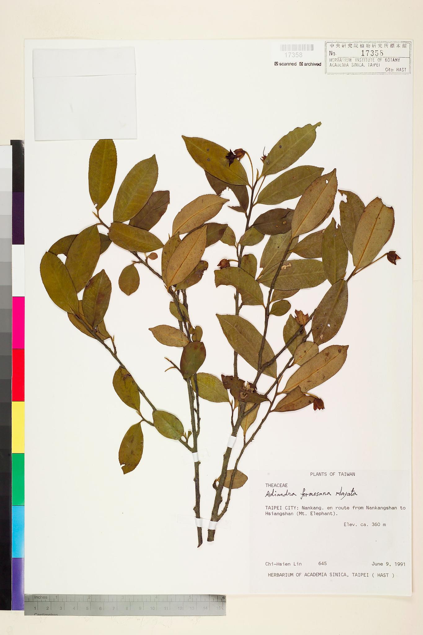 Sample image for viewer