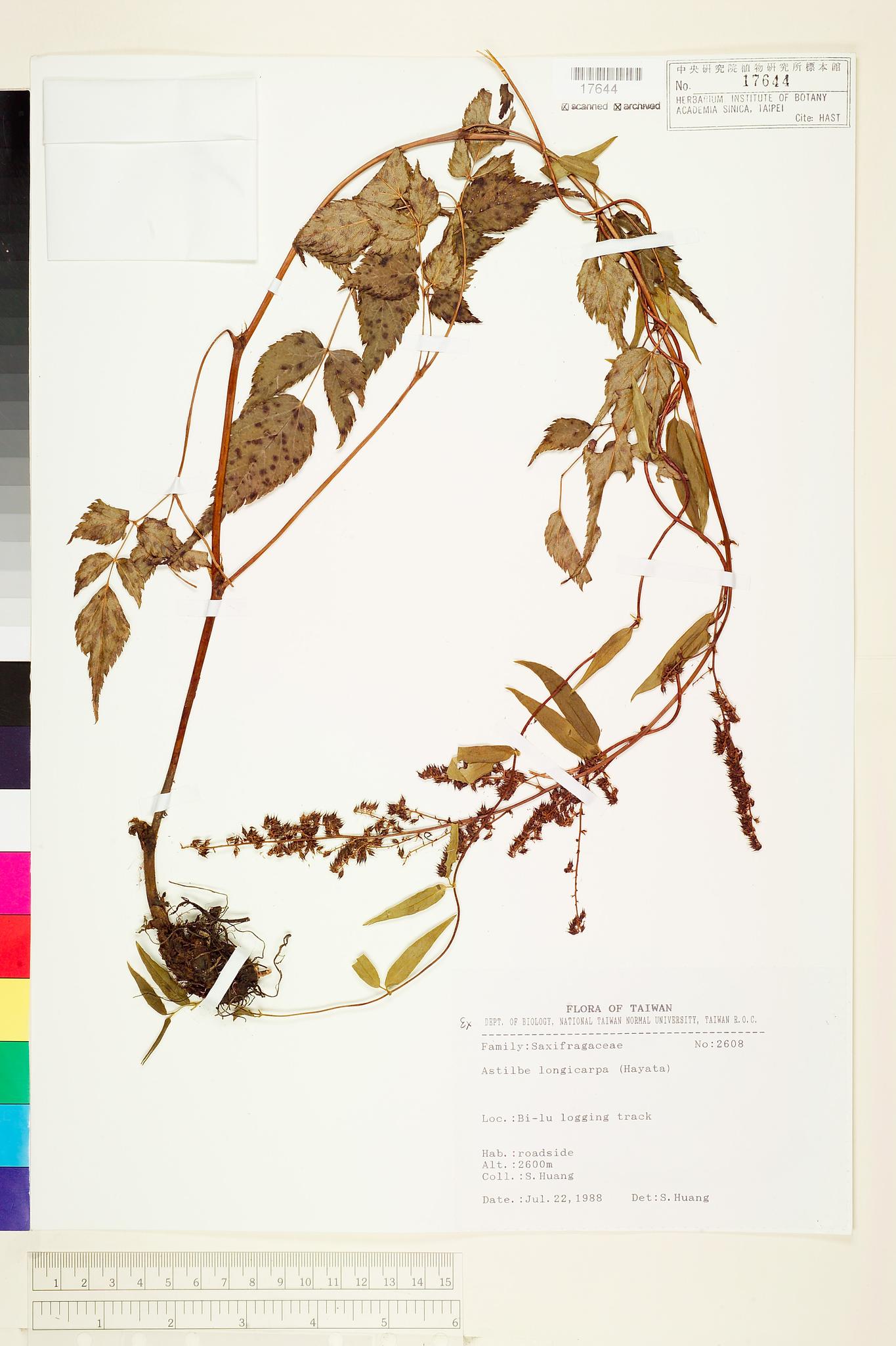 Sample image for viewer