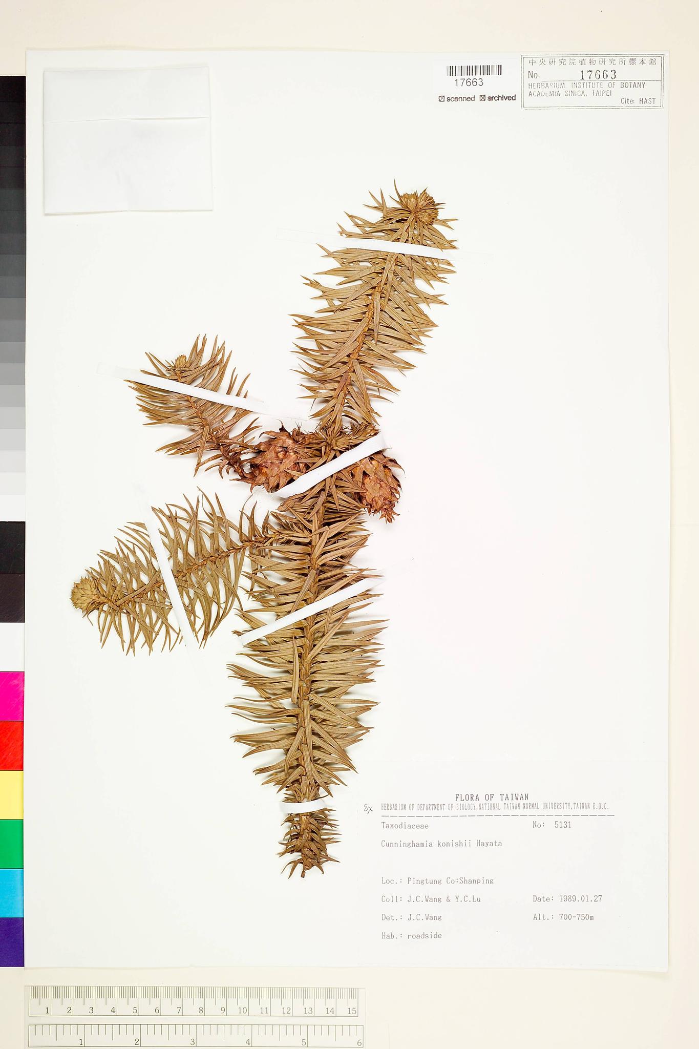 Sample image for viewer