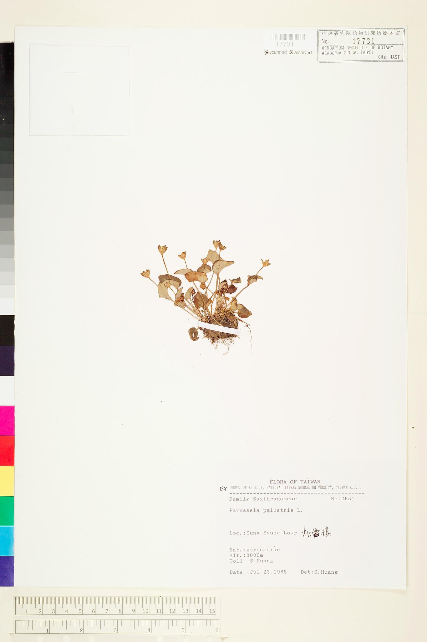 Sample image for viewer