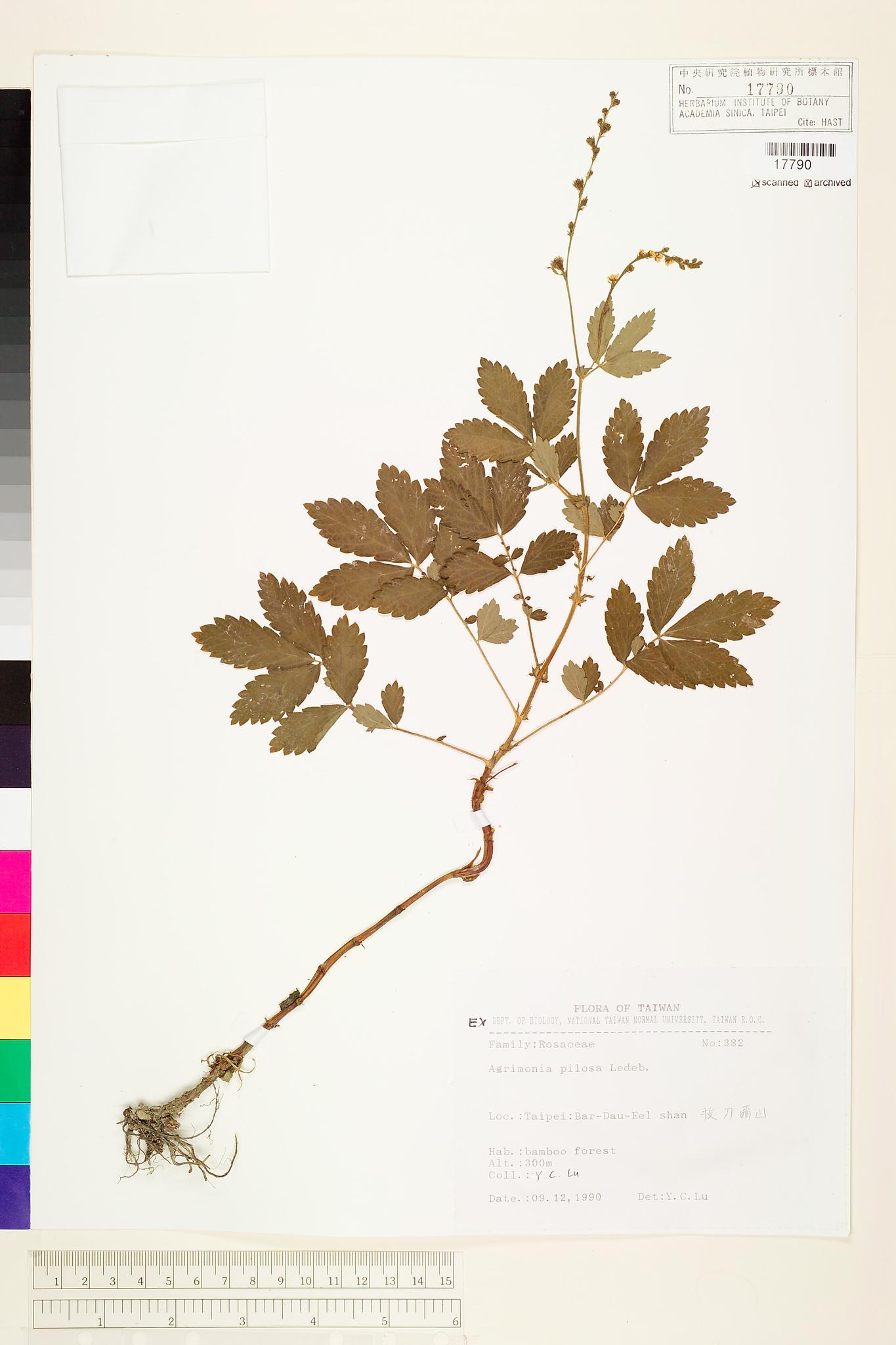 Sample image for viewer