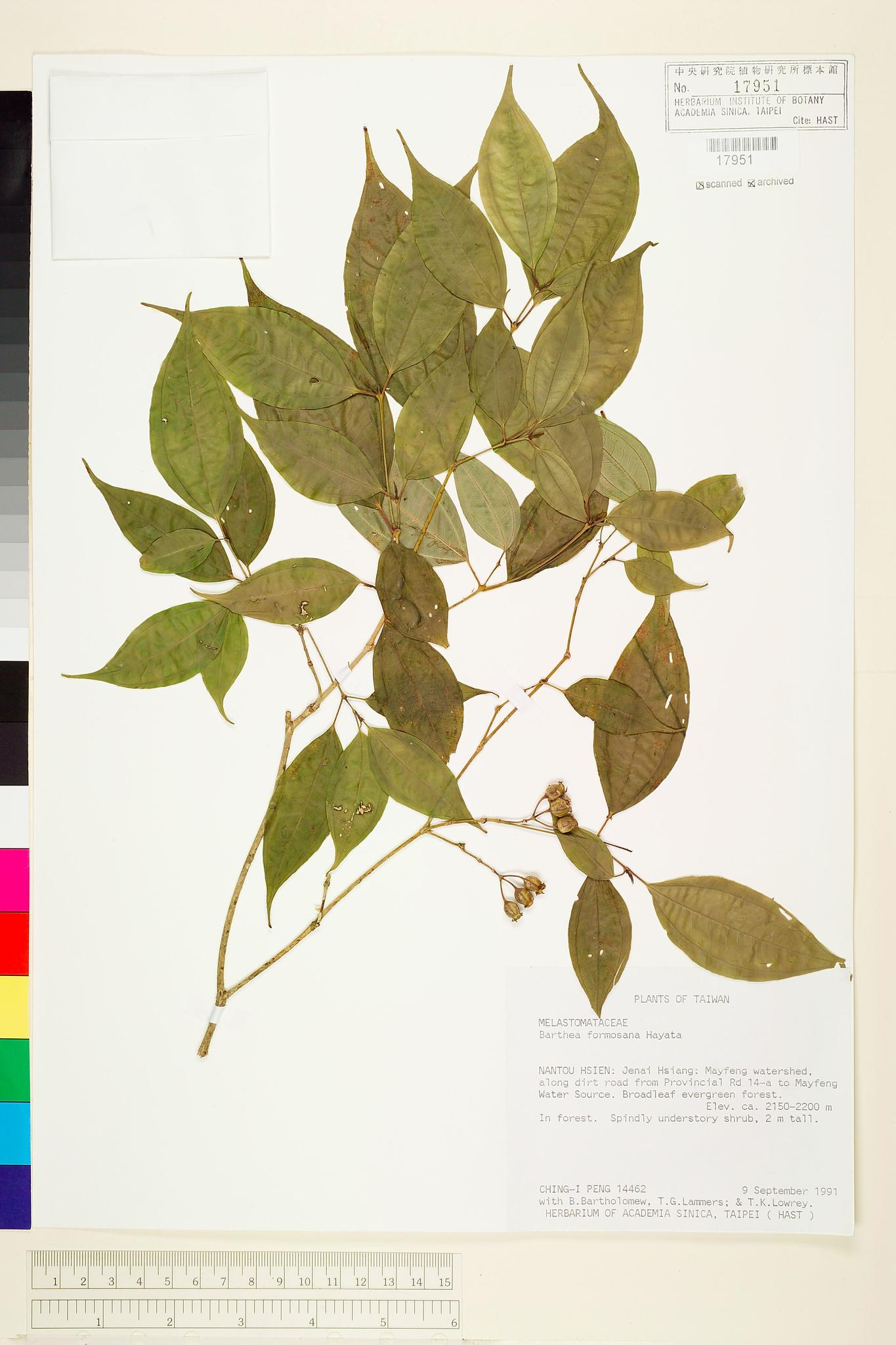 Sample image for viewer