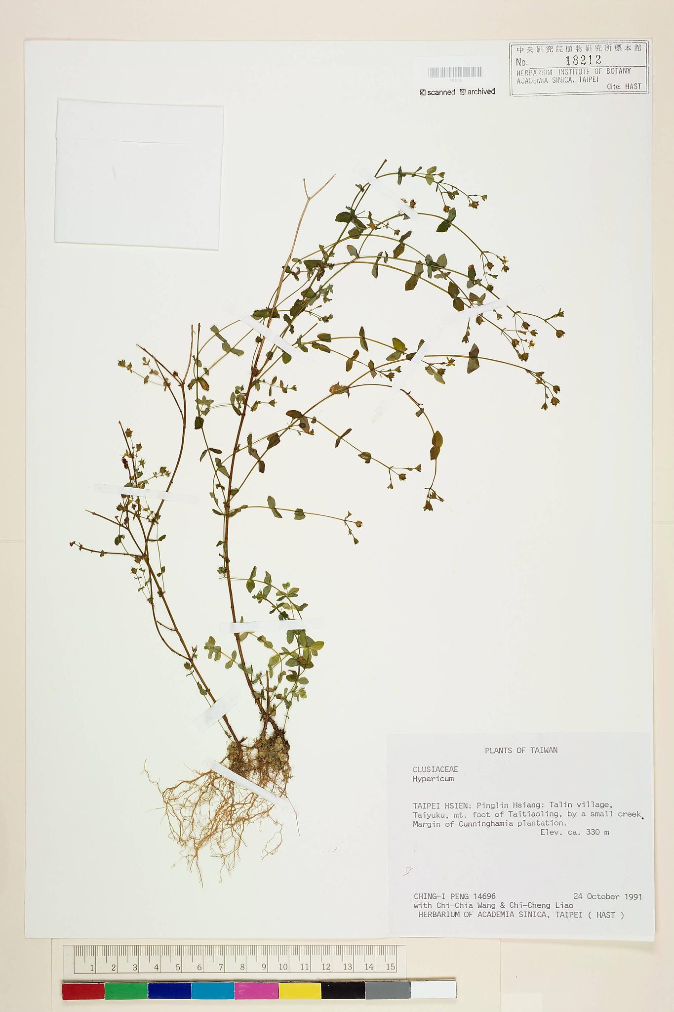 Sample image for viewer