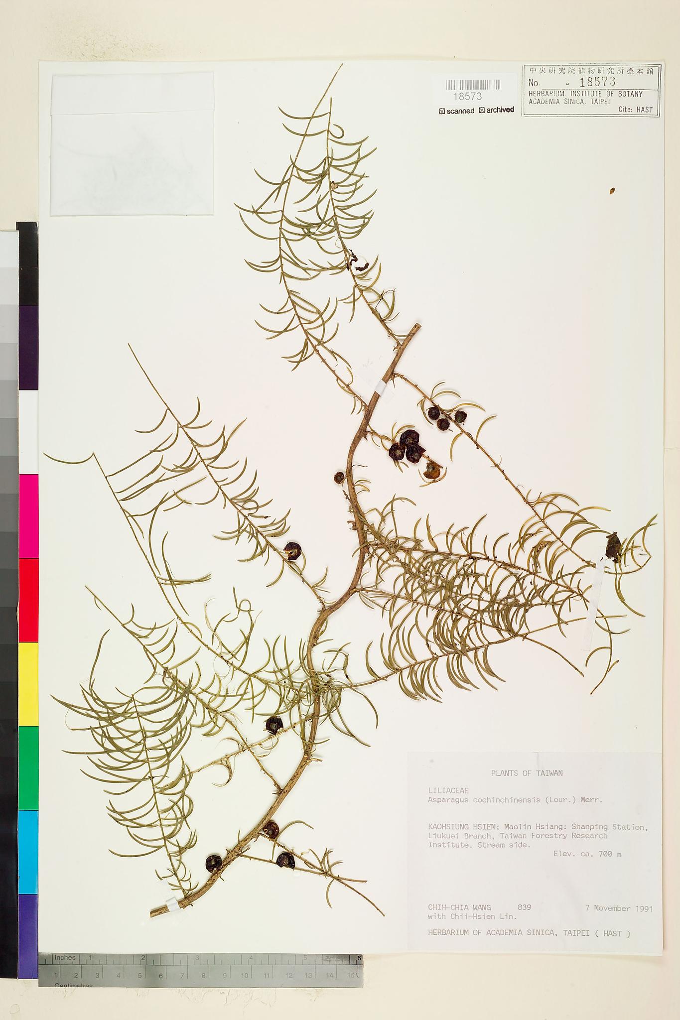 Sample image for viewer