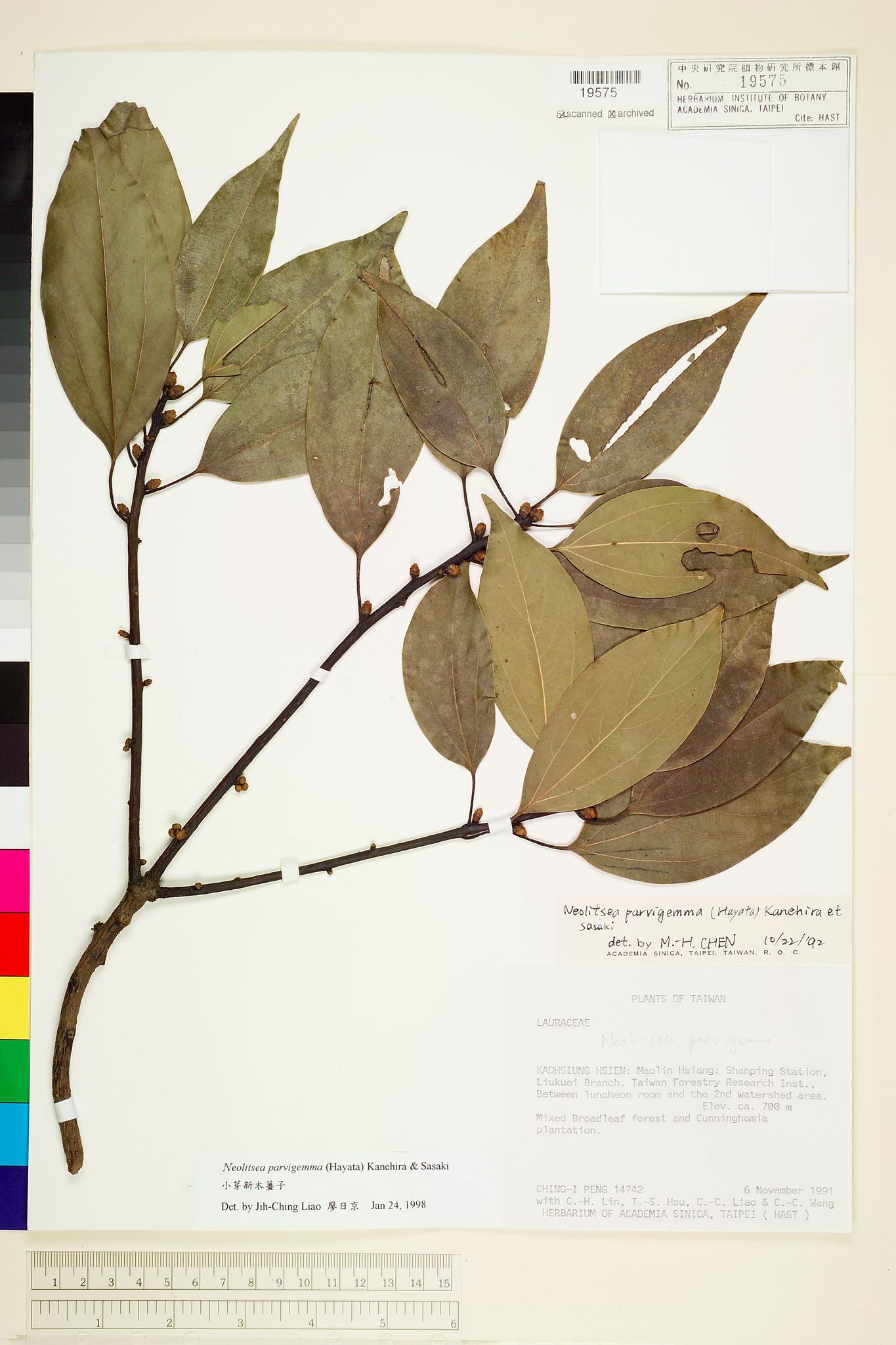 Specimen image