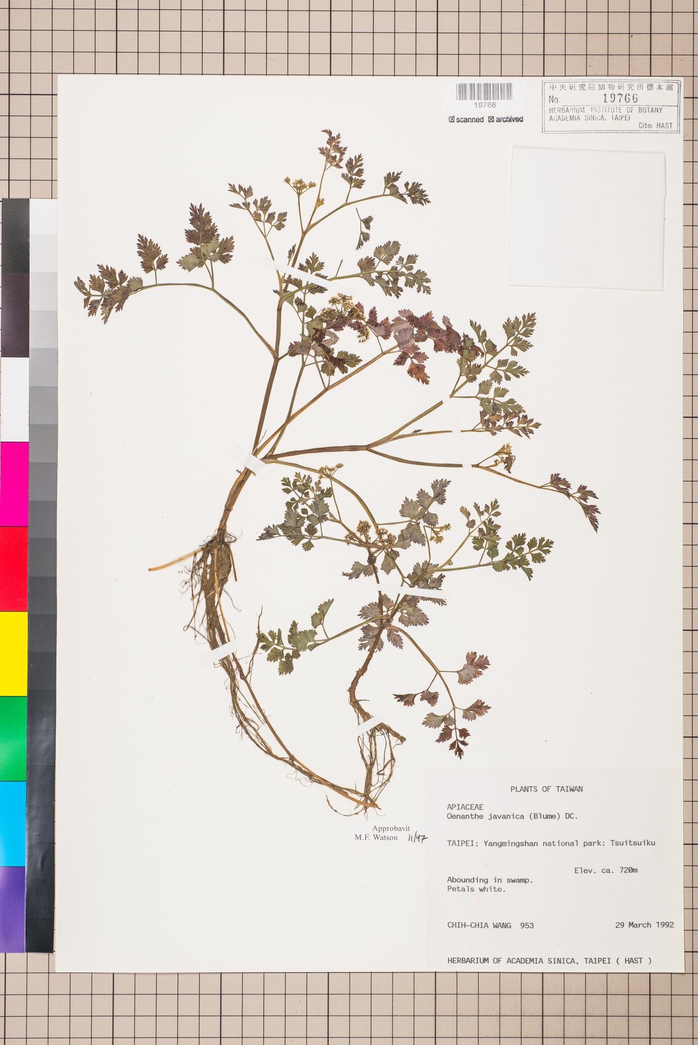 Sample image for viewer