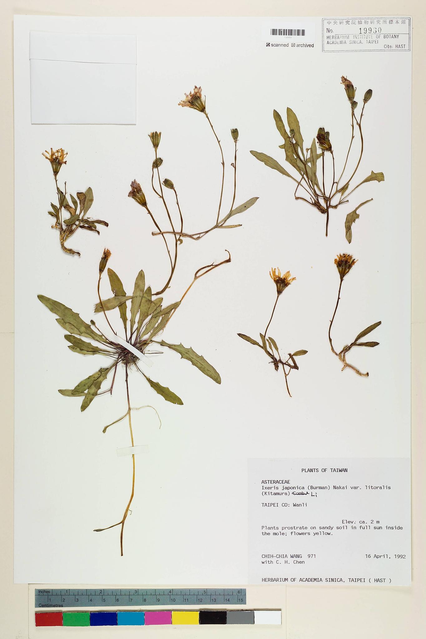 Specimen image
