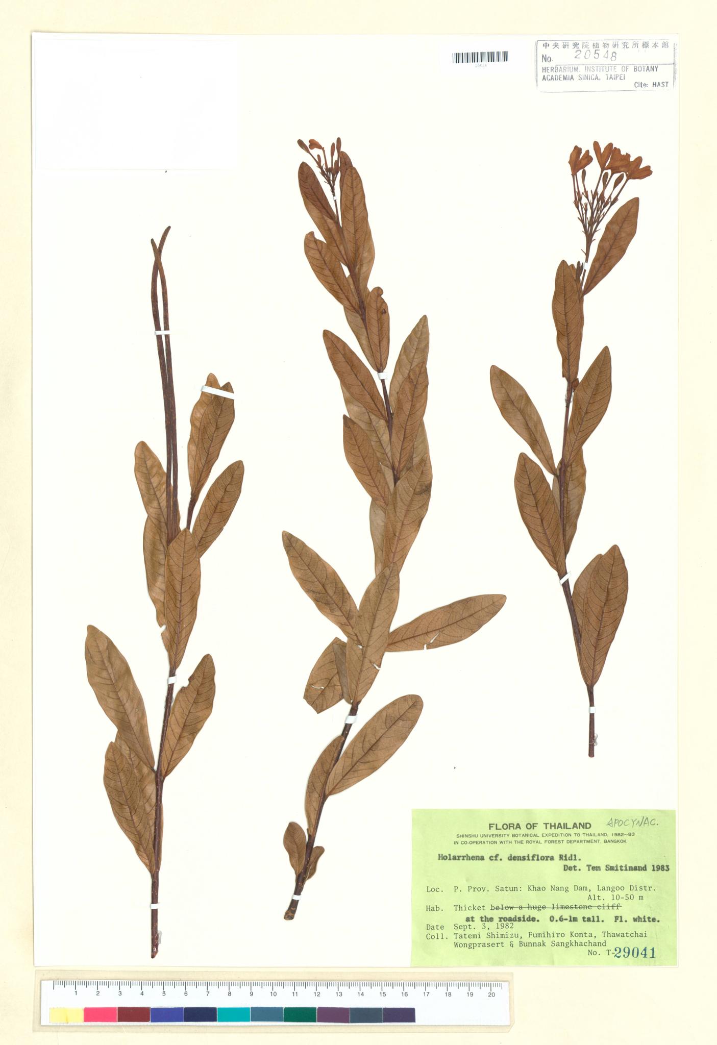 Sample image for viewer