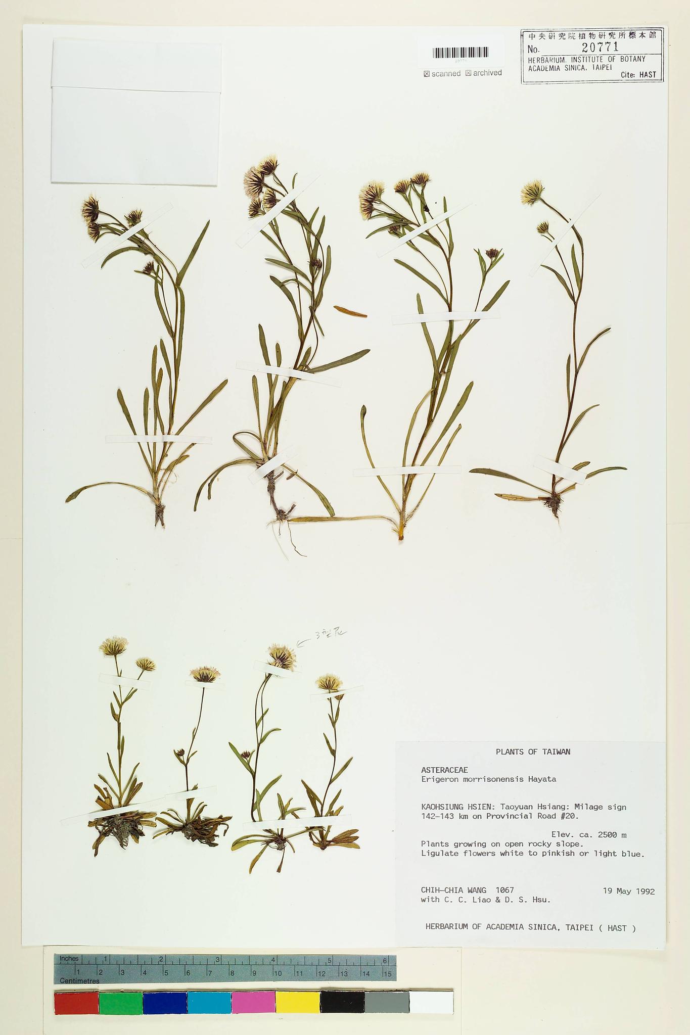 Sample image for viewer