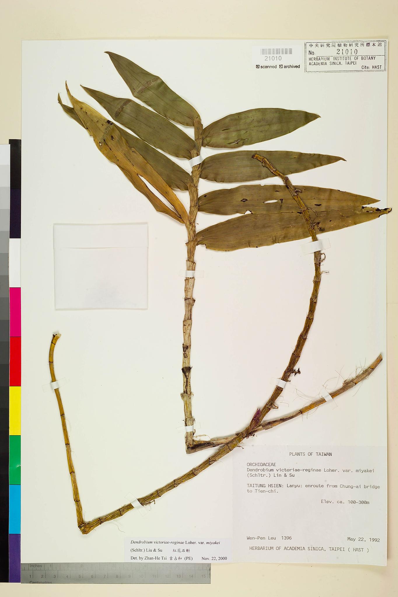 Sample image for viewer