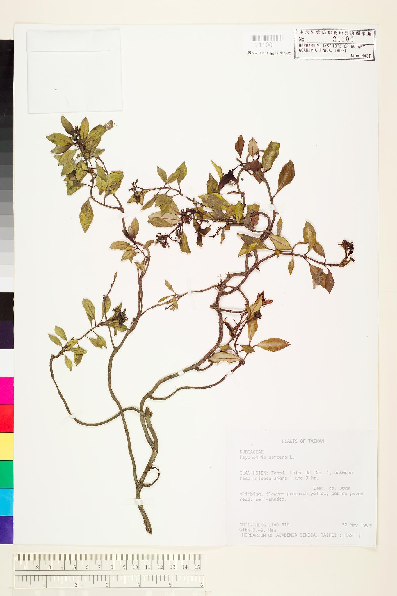 Sample image for viewer