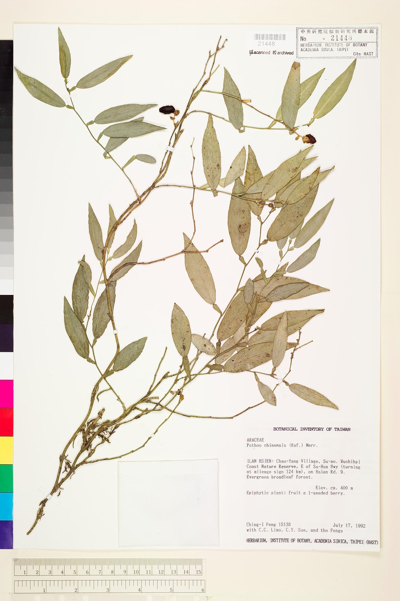 Sample image for viewer