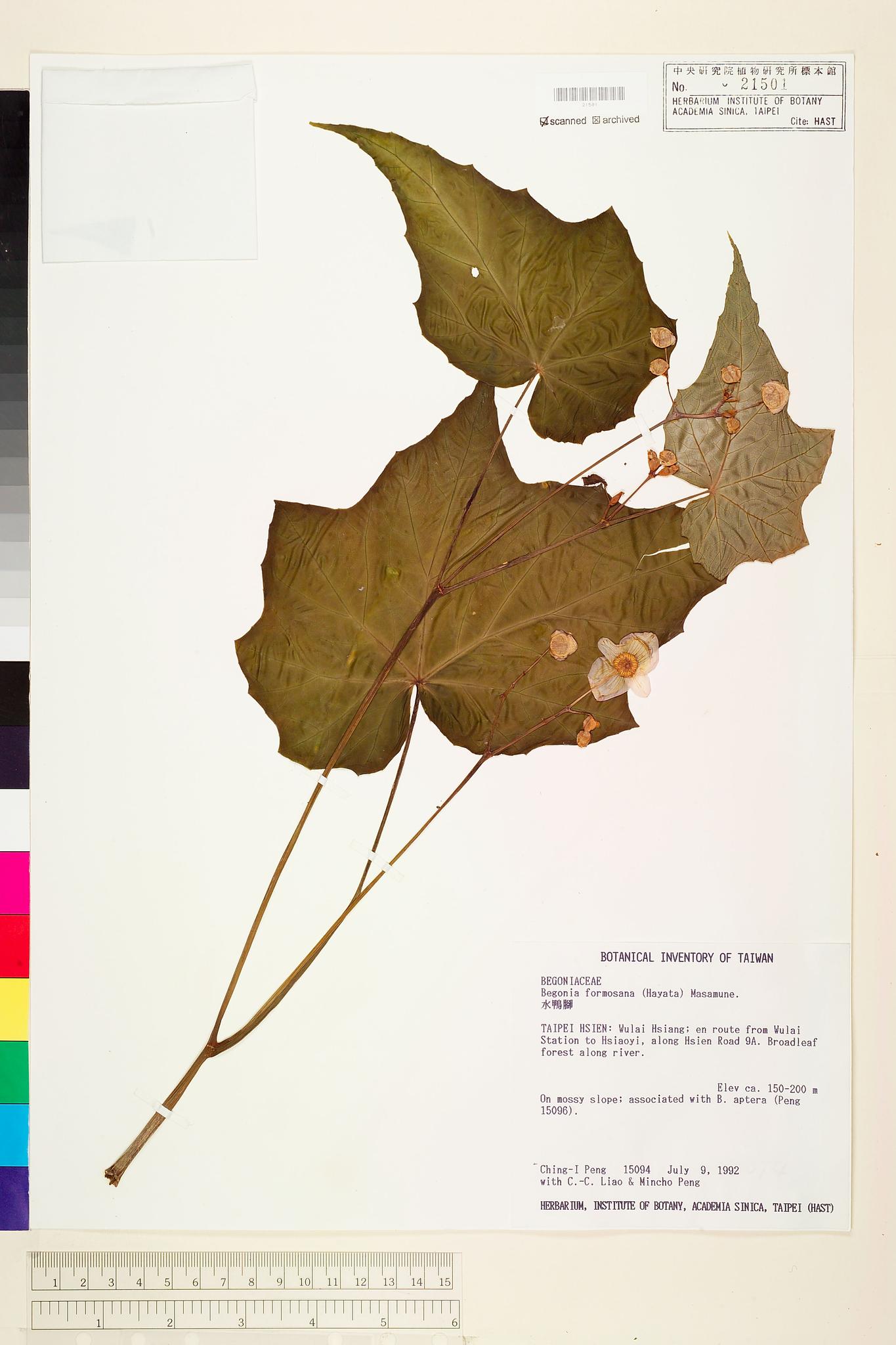 Sample image for viewer