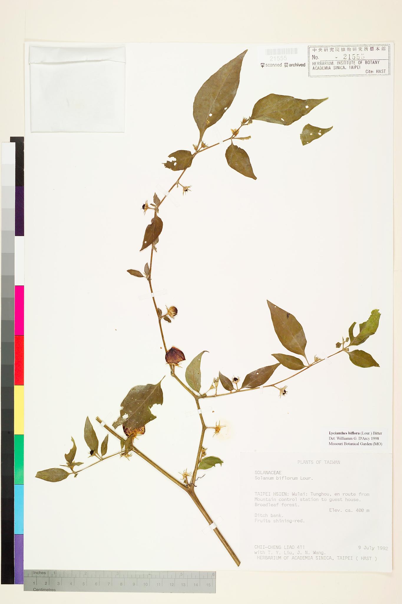 Sample image for viewer