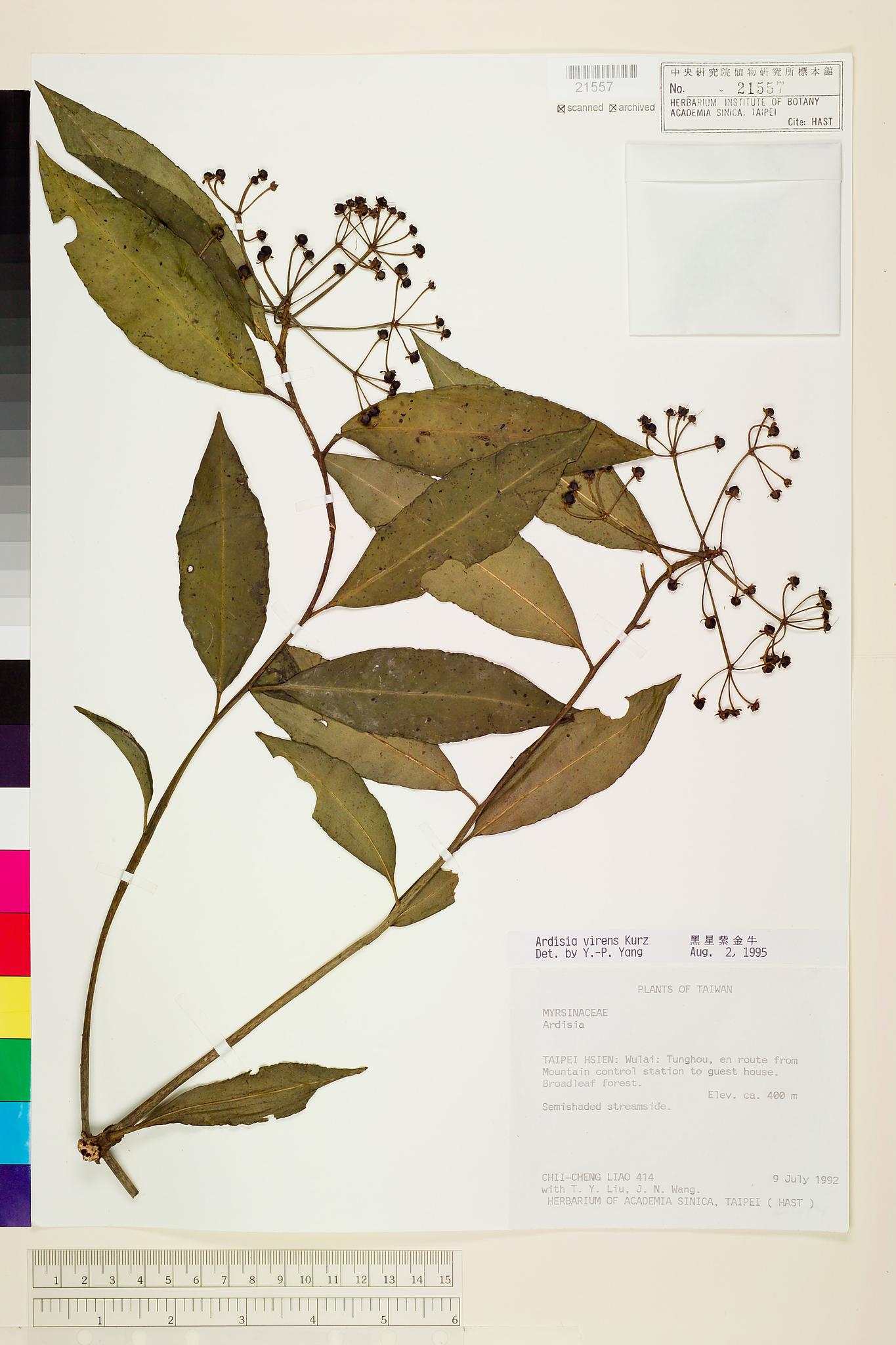 Sample image for viewer