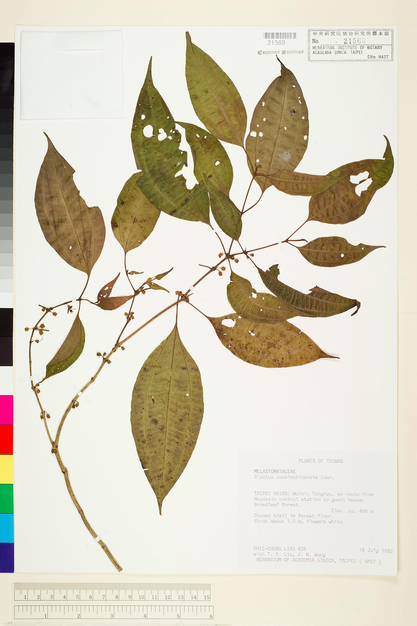 Sample image for viewer