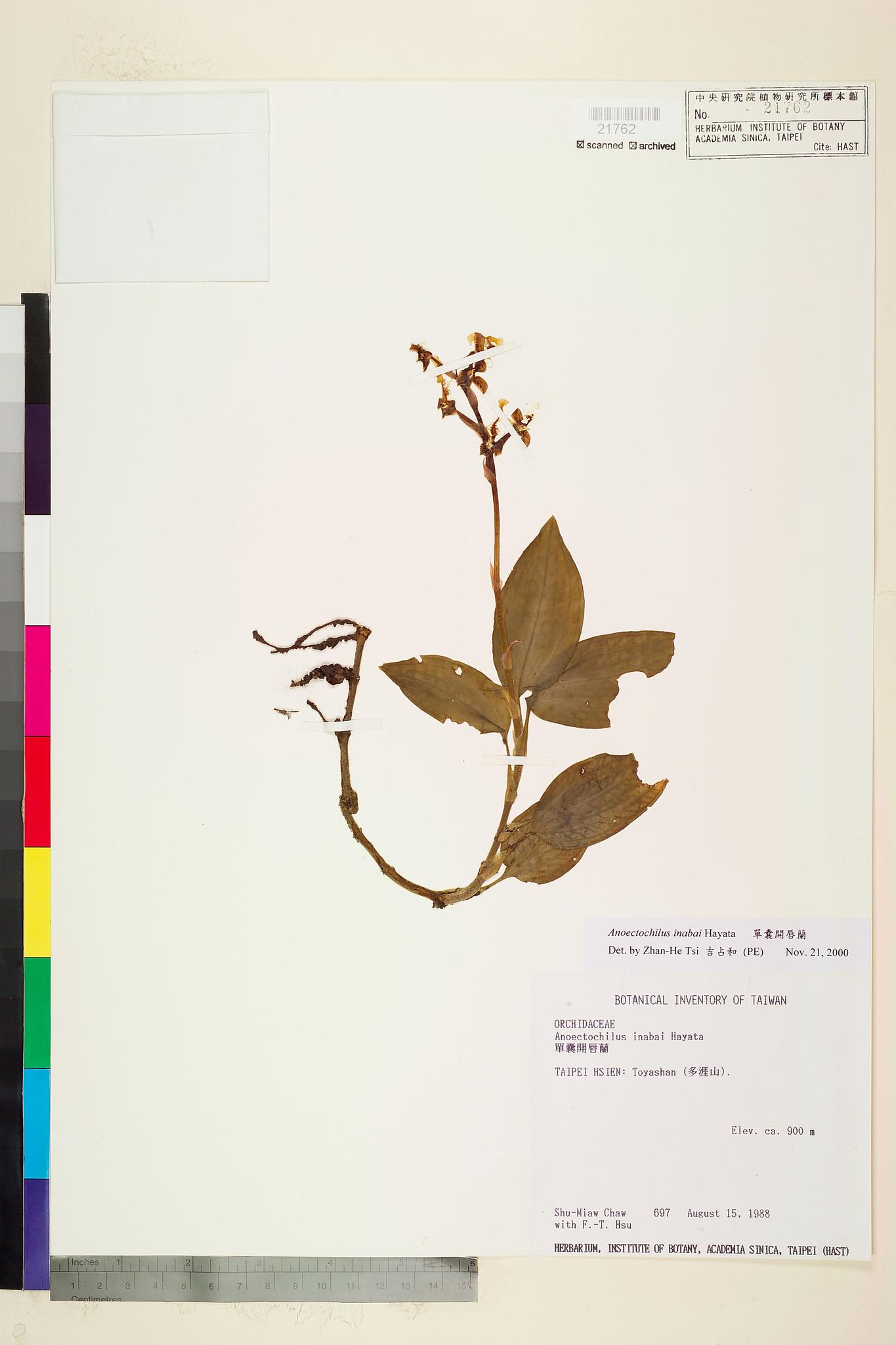 Sample image for viewer