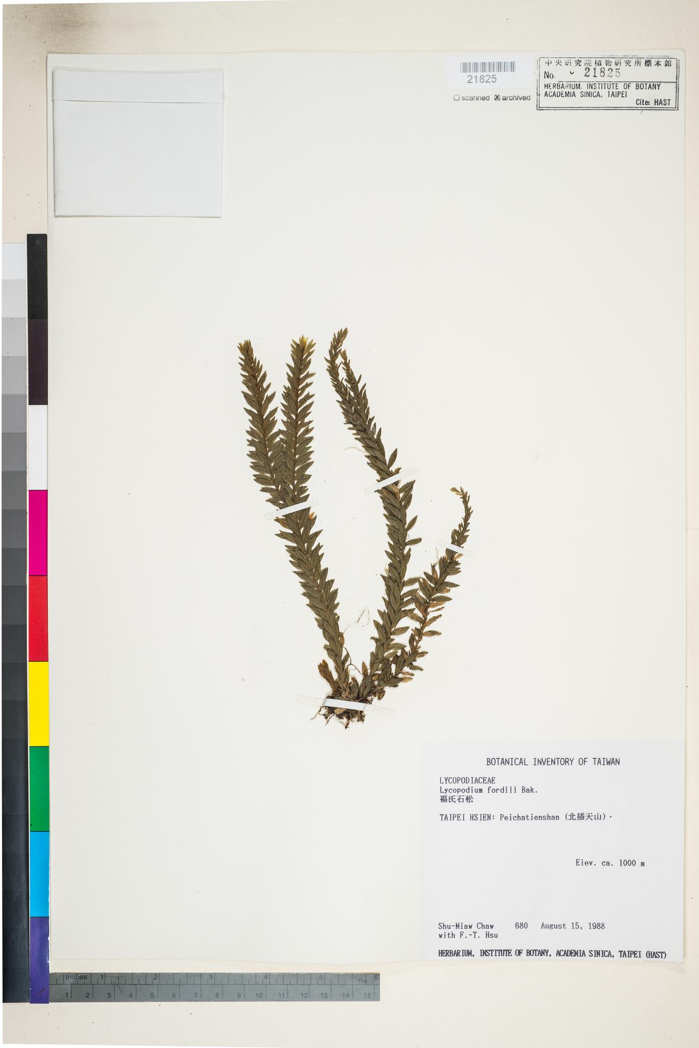 Sample image for viewer