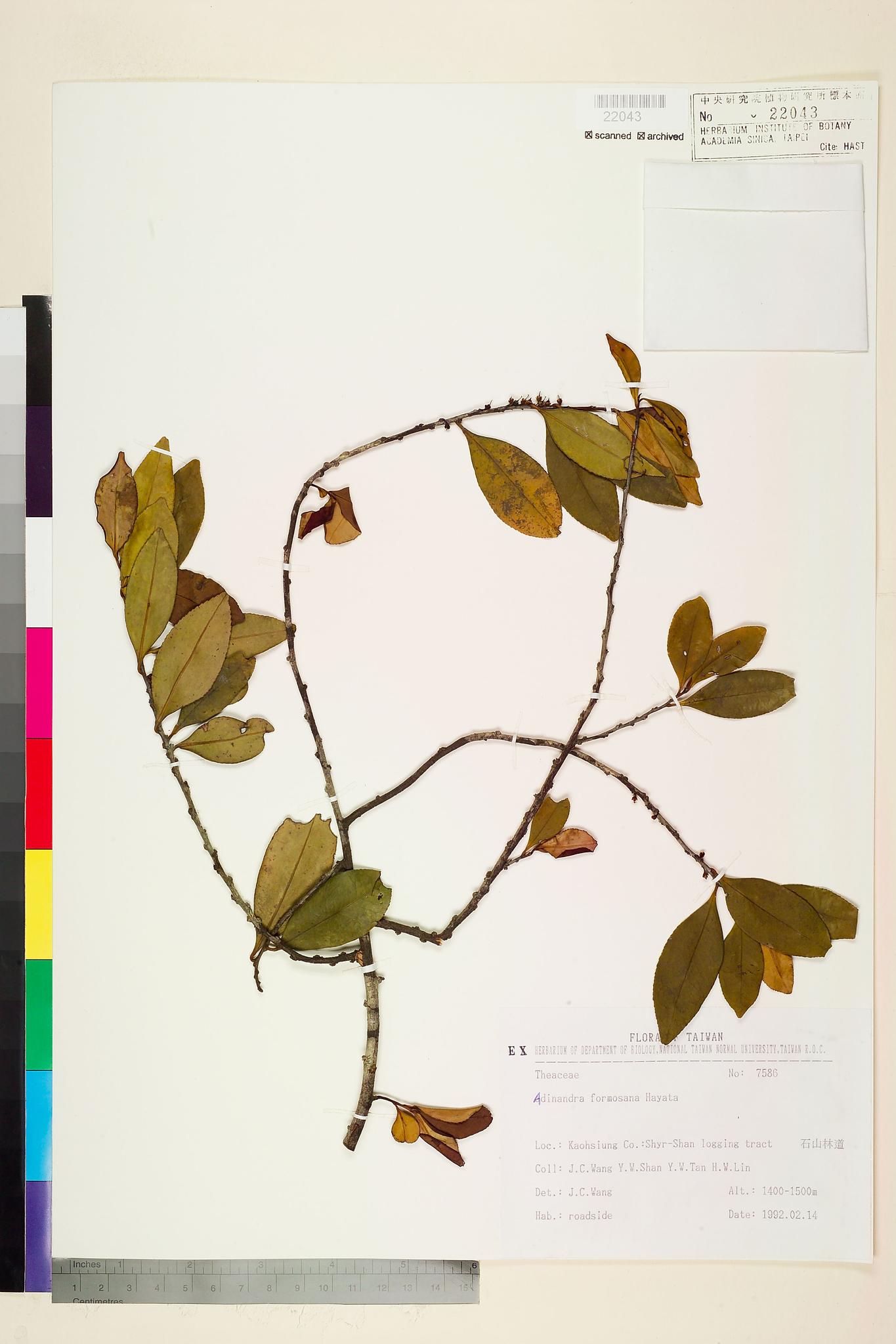 Sample image for viewer