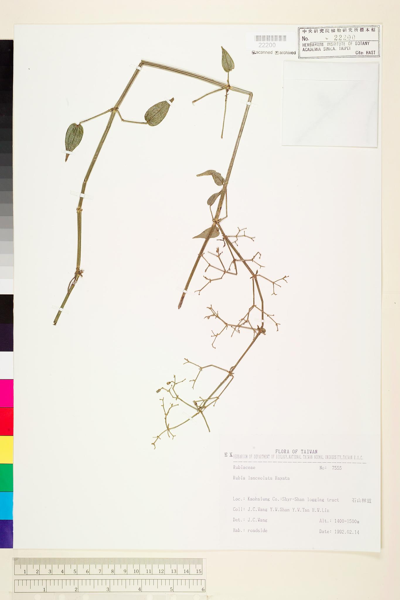 Sample image for viewer