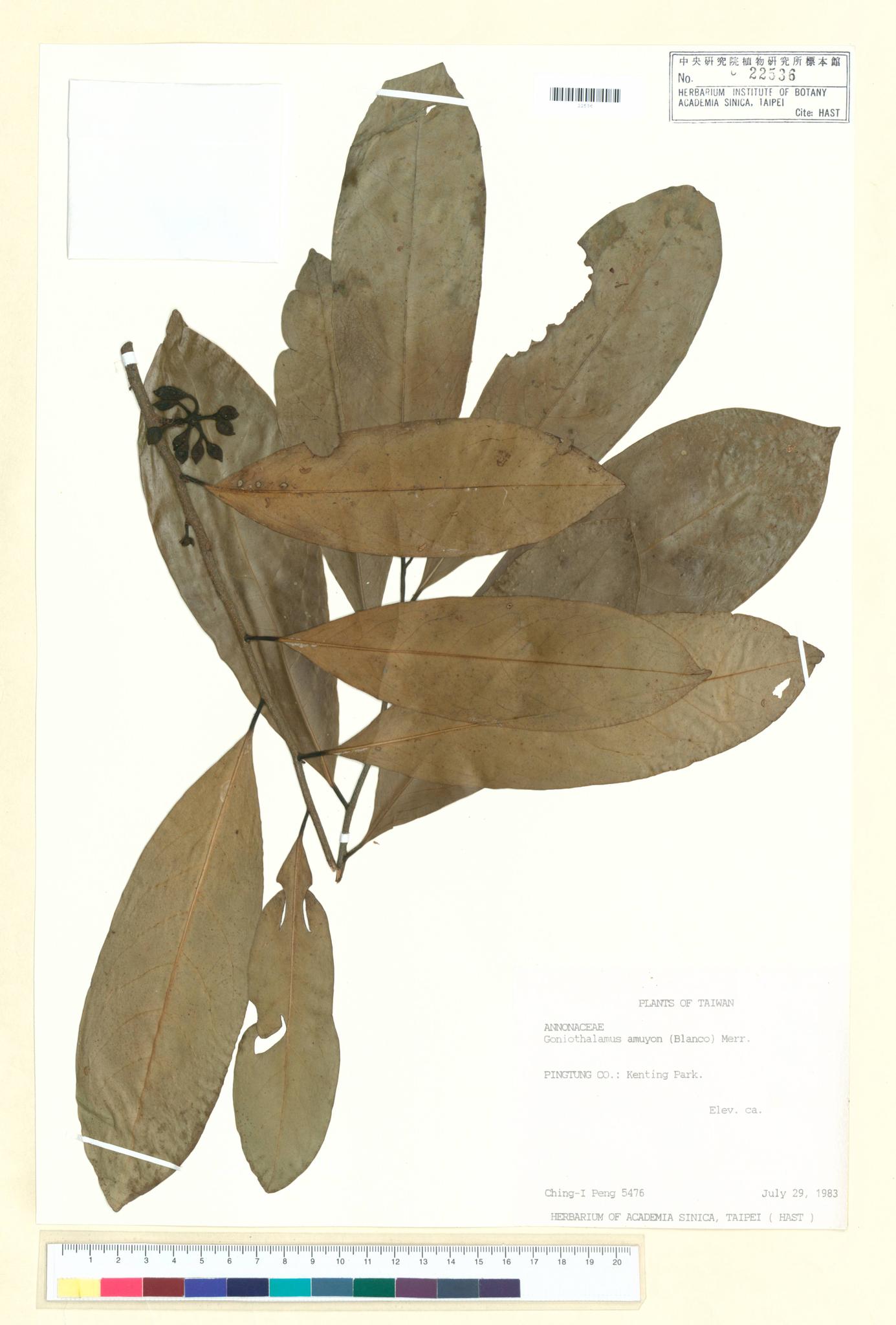 Sample image for viewer