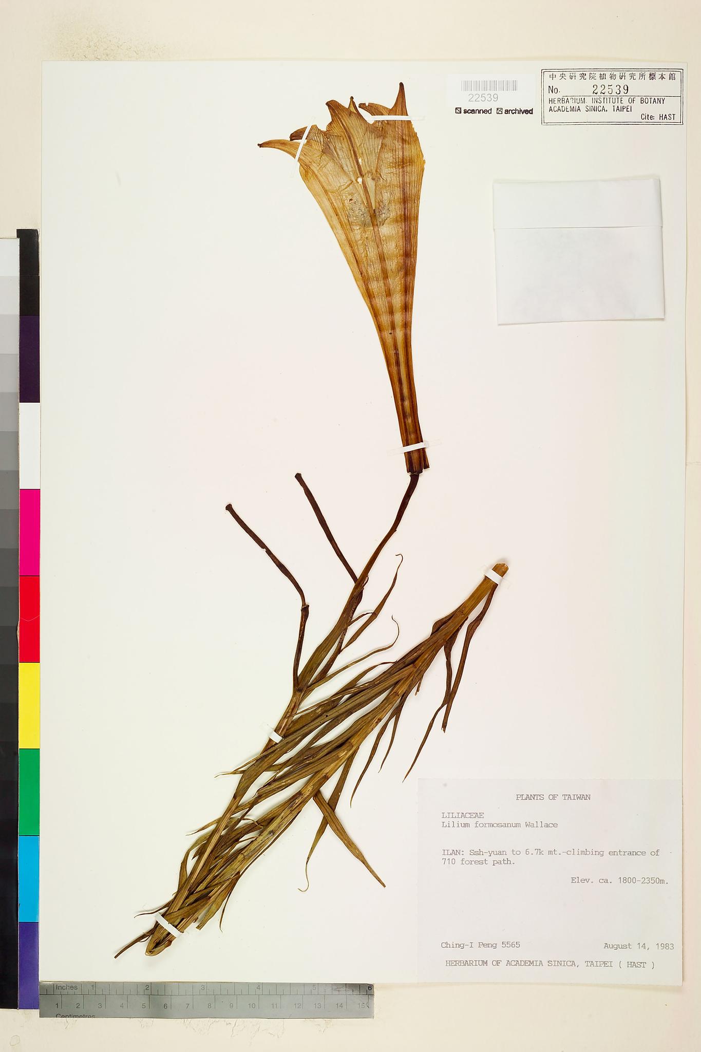 Sample image for viewer