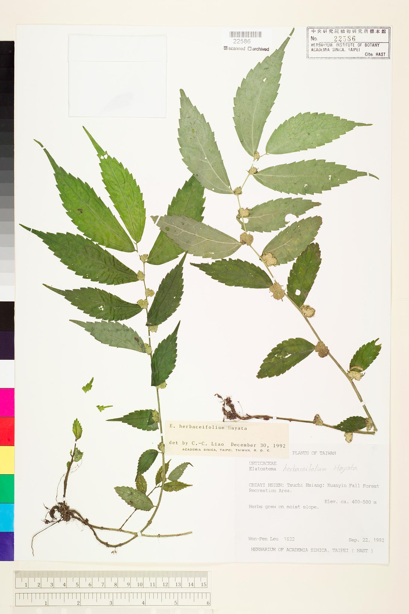 Sample image for viewer